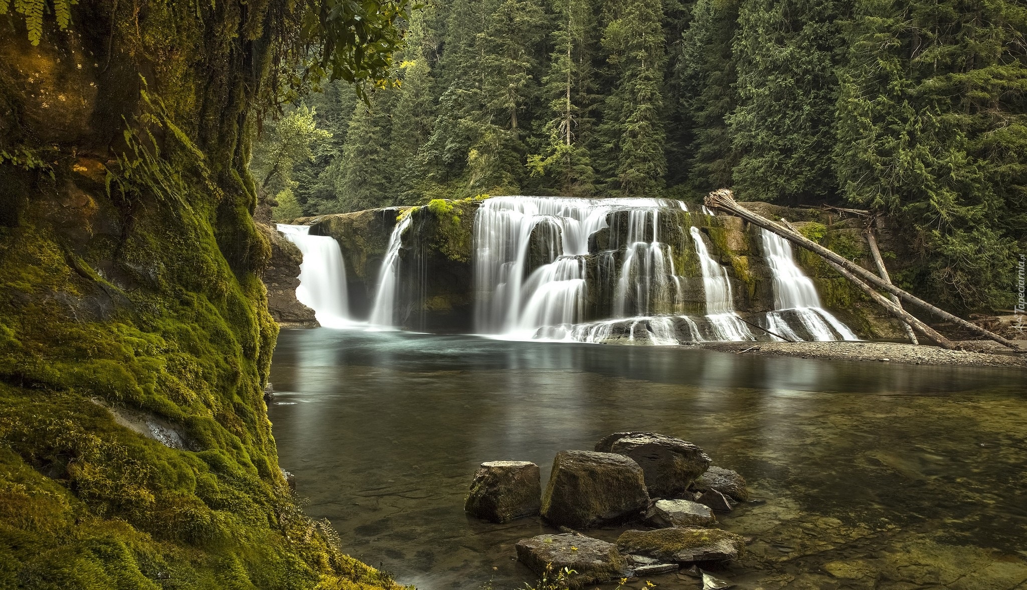 Rezerwat Gifford Pinchot, Rzeka Lewis River, Wodospad, Lower Lewis River Falls, Drzewa, Las, Chmury, Stan Waszyngton, Stany Zjednoczone