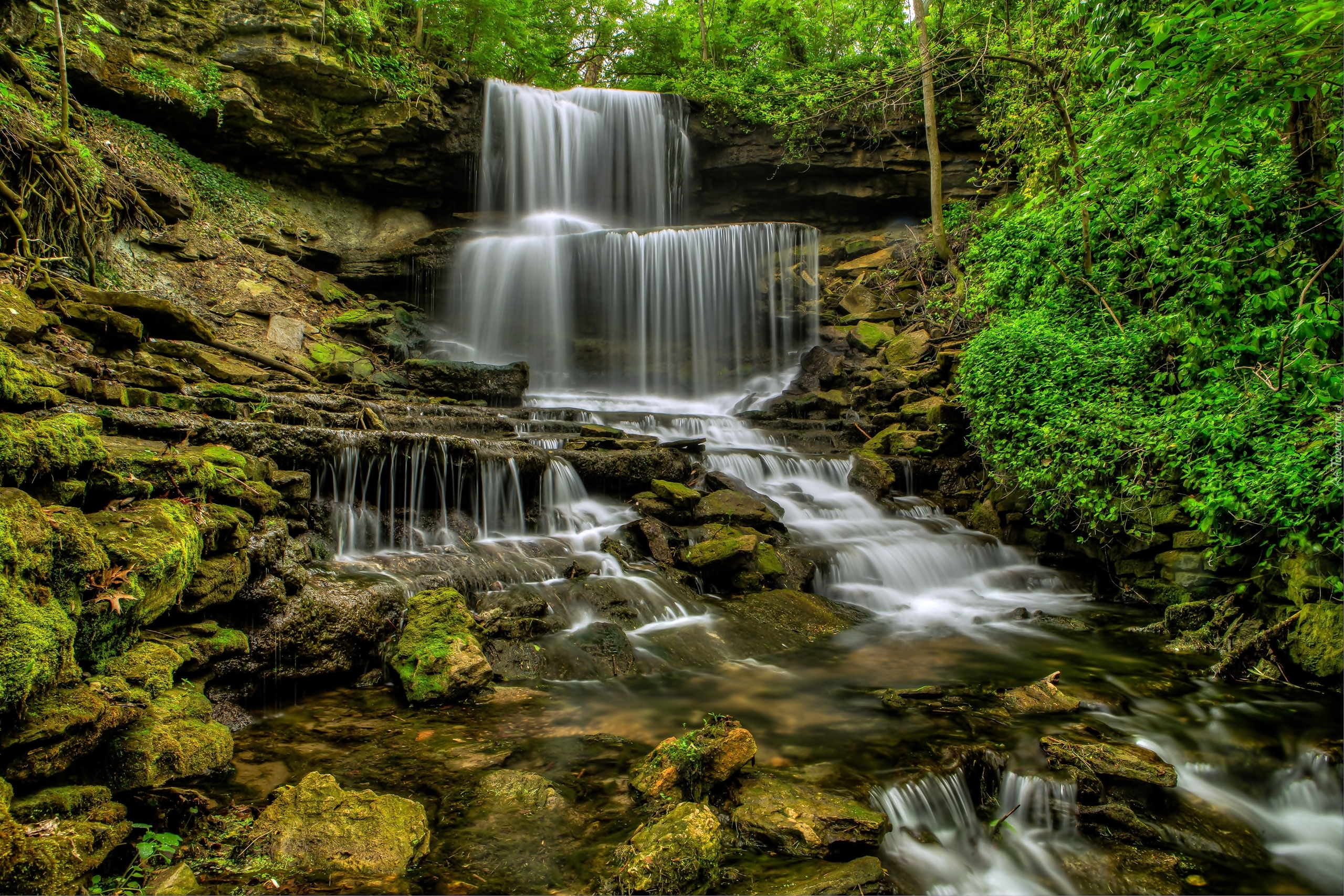 Stany Zjednoczone, Stan Ohio, Wodospad West Milton Cascades, Kaskada, Skały, Drzewa