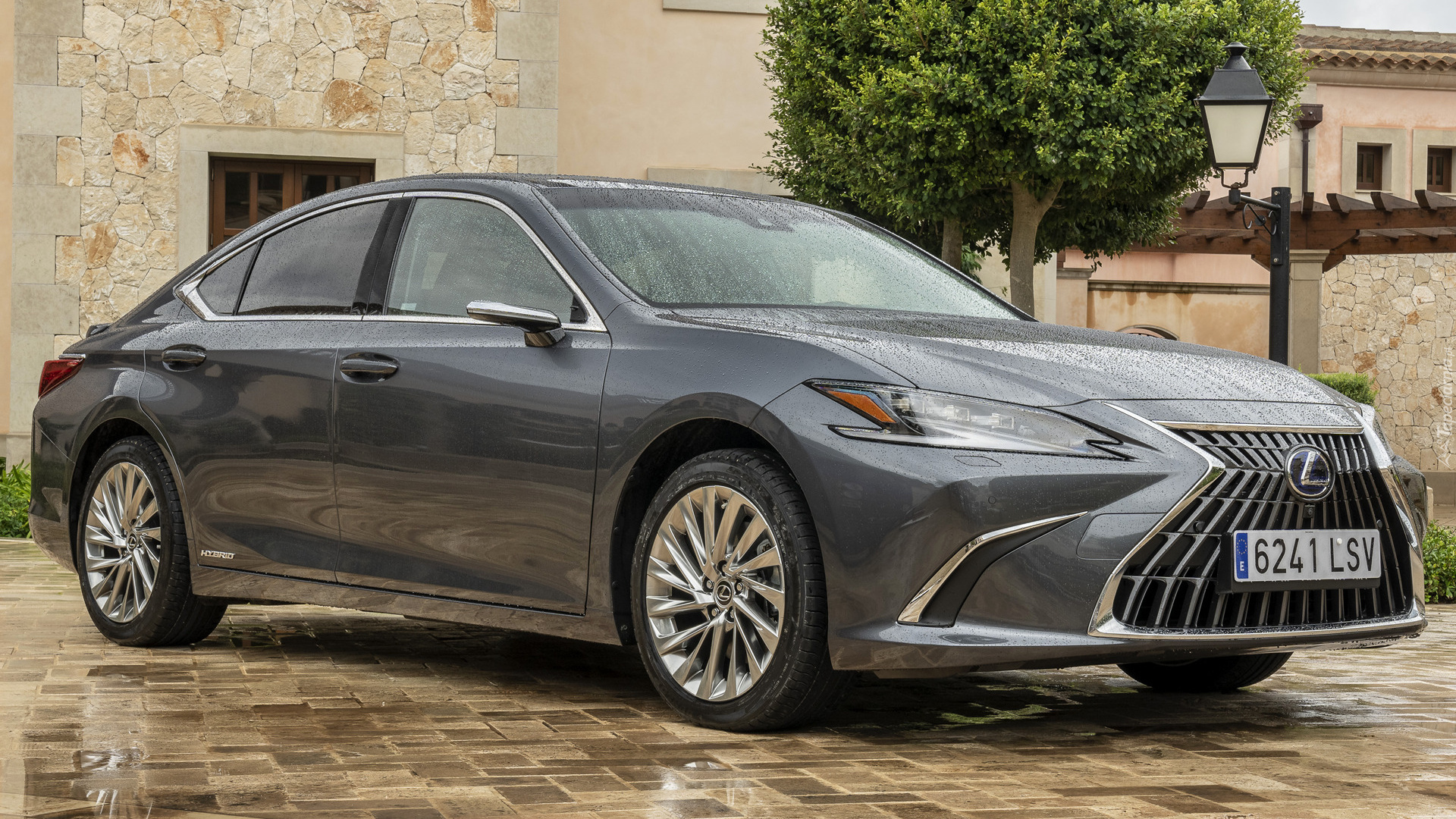 Lexus ES Hybrid, 2021, Deszcz