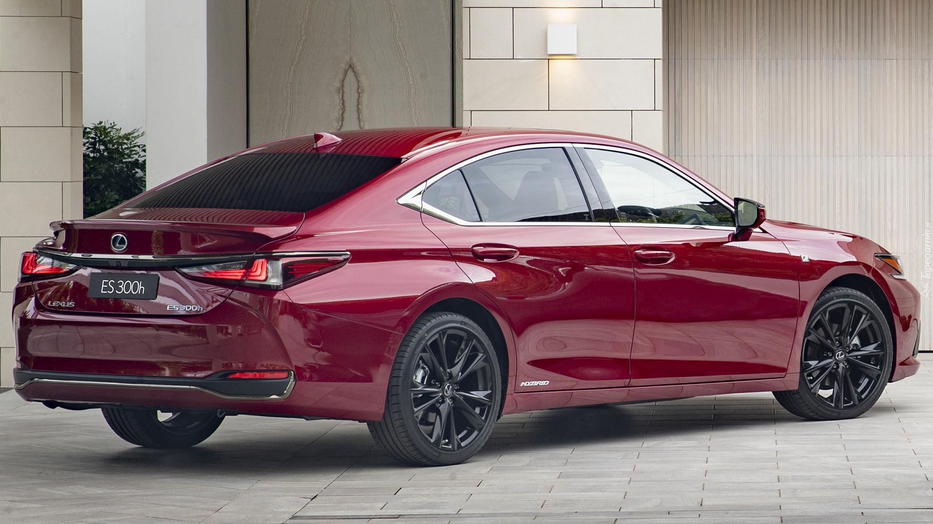 Lexus ES Hybryda F Sport