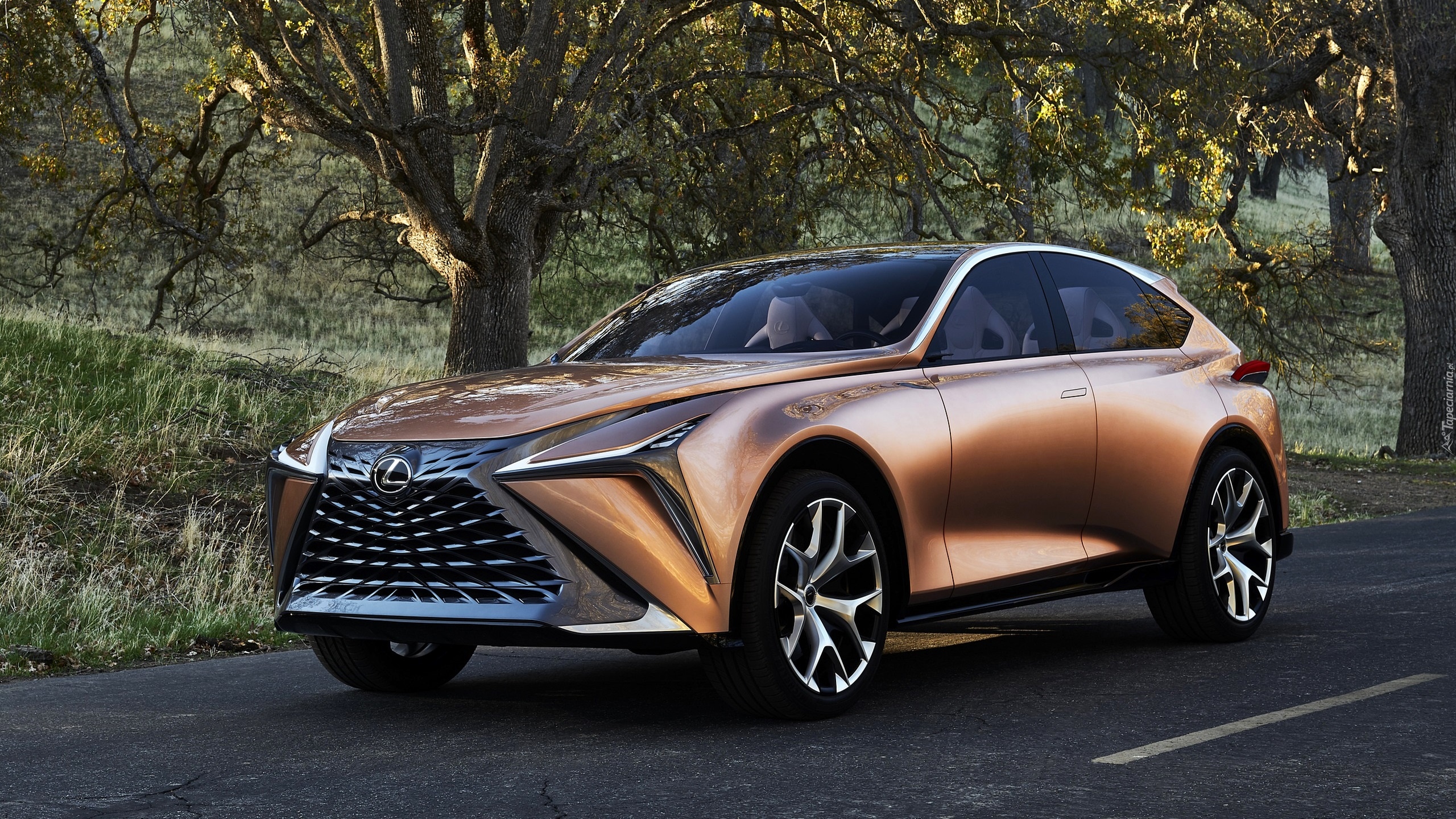 Lexus LF-1 Limitless, SUV, Concept, 2018