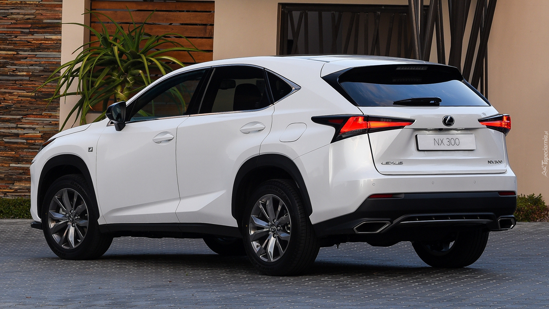 Lexus NX, F-Sport