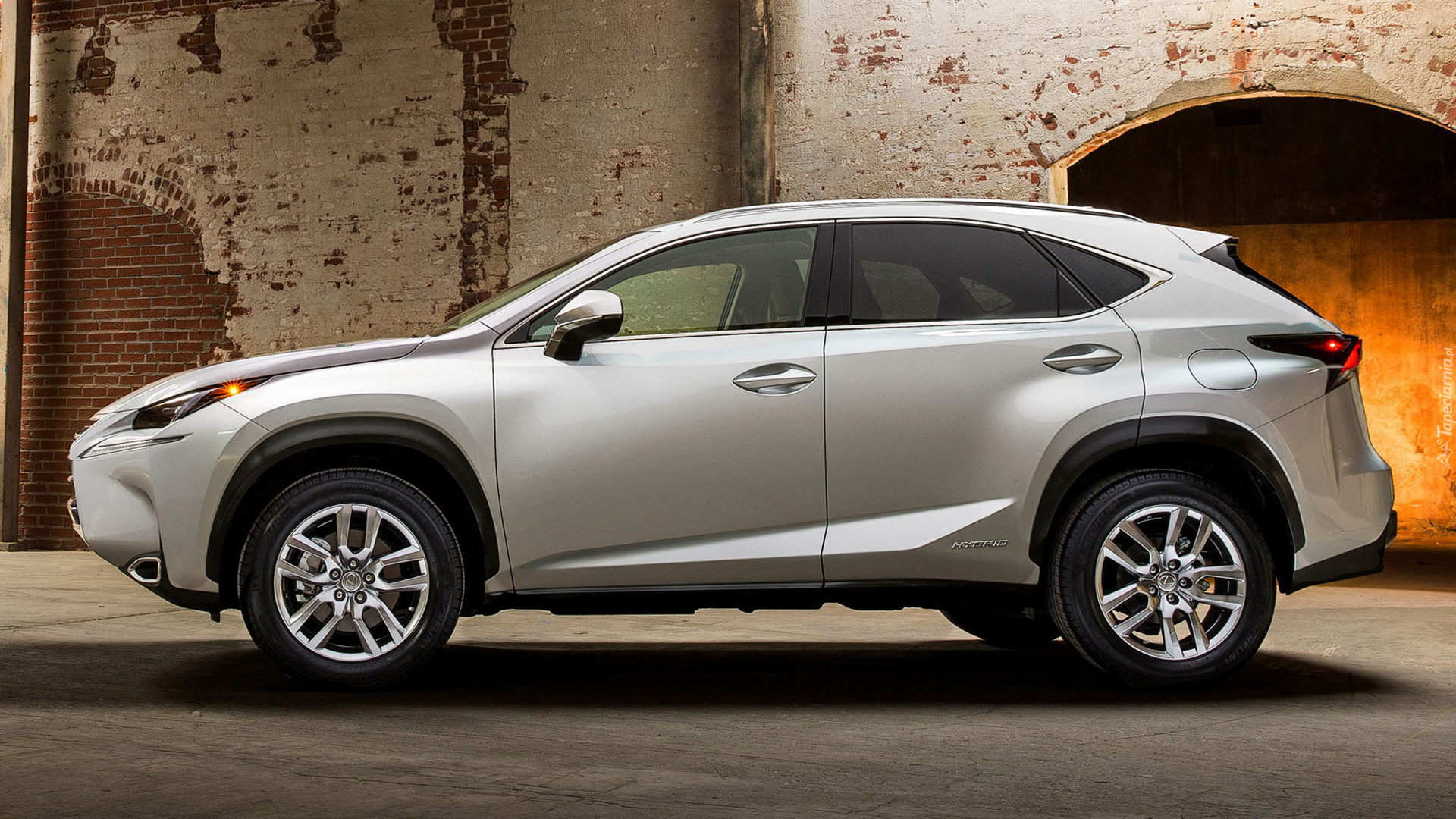 Lexus NX Hybrid, Bok