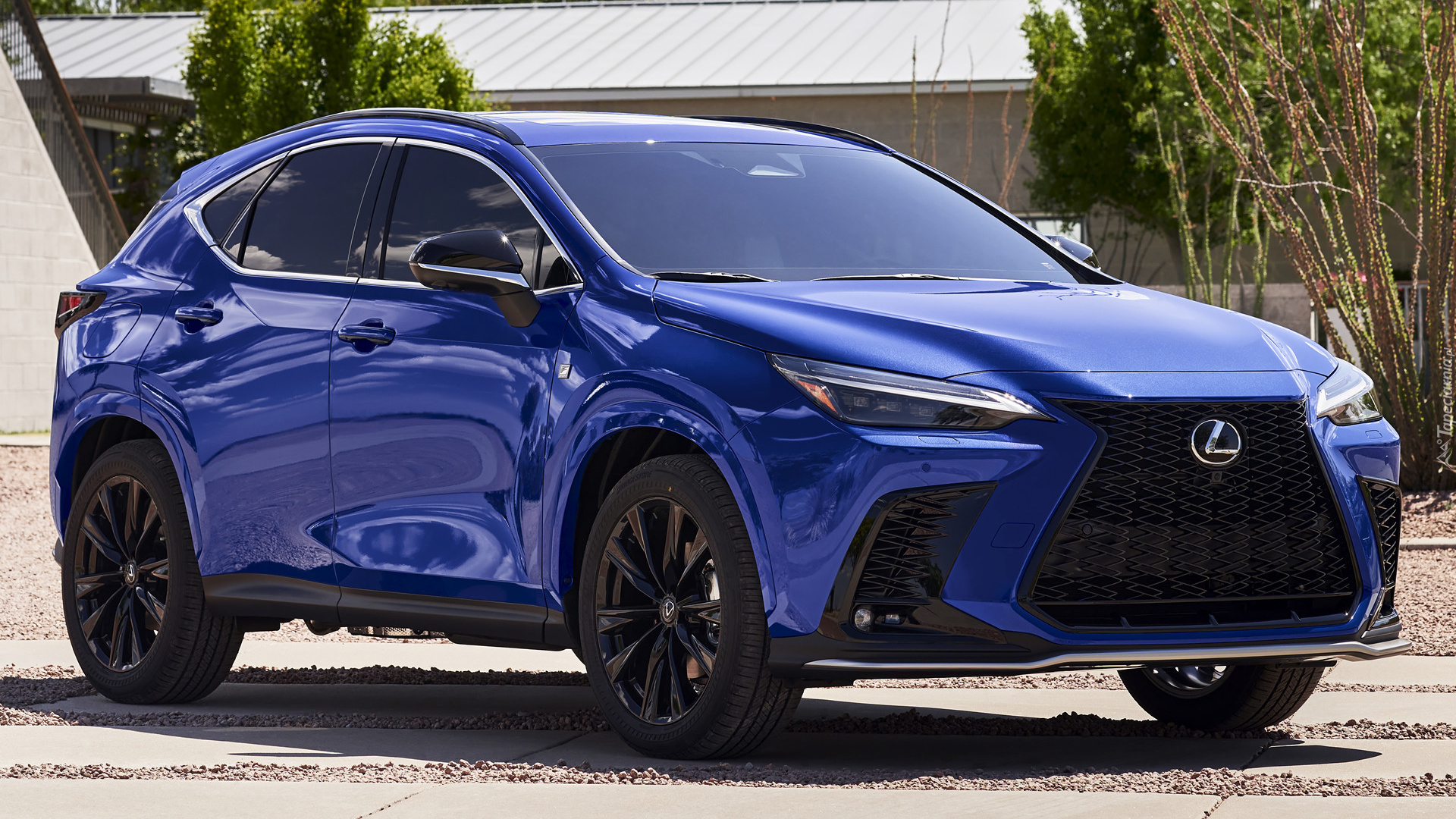 Lexus NX plug-in Hybrid F Sport