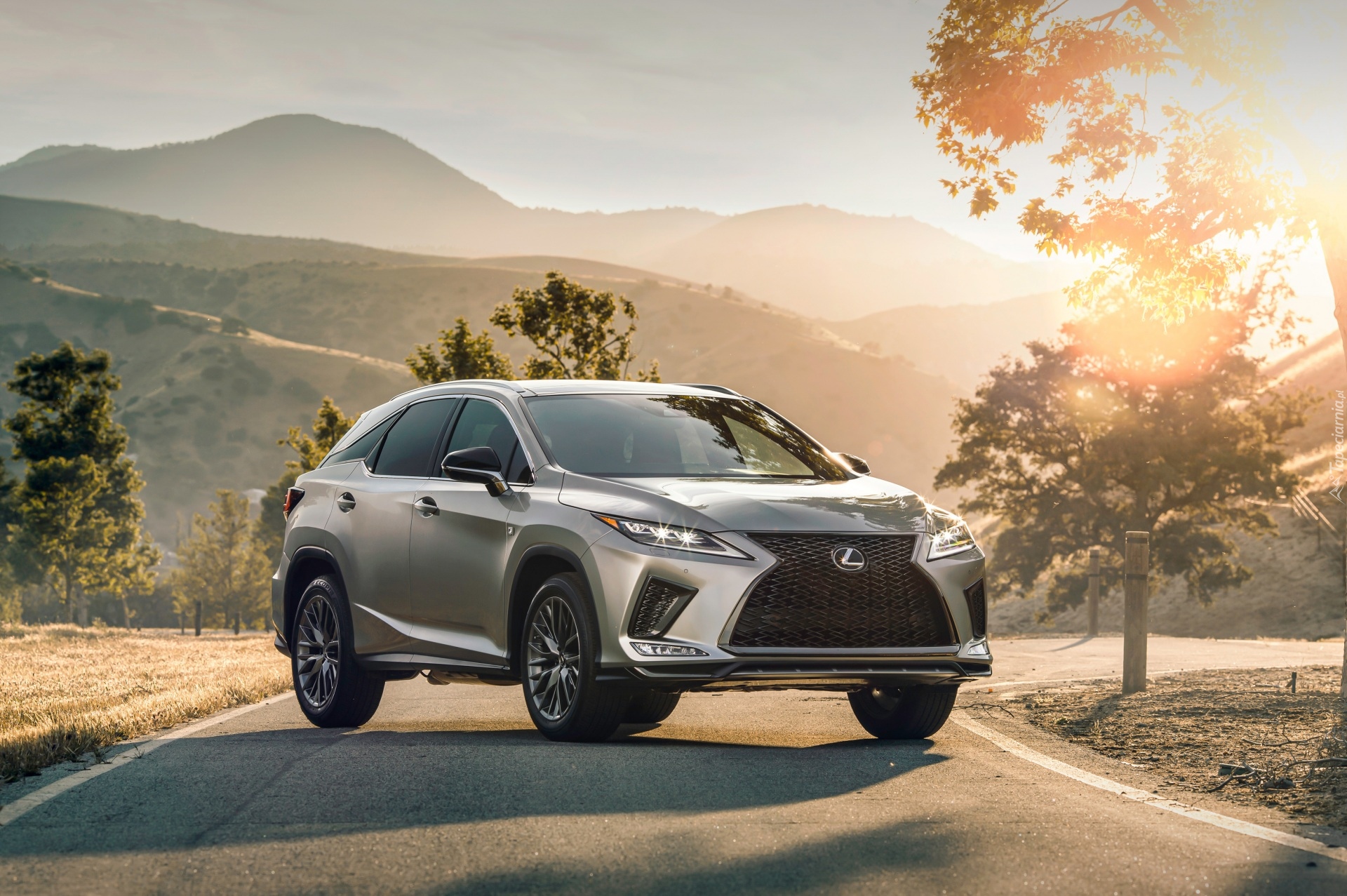 Lexus RX 350 F, Droga