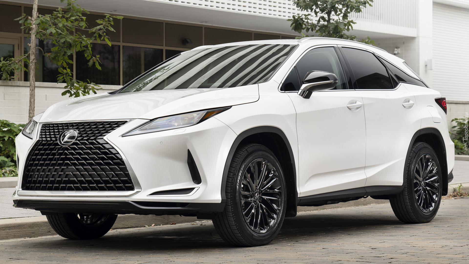 Lexus RX Moonlight Edition, 2021