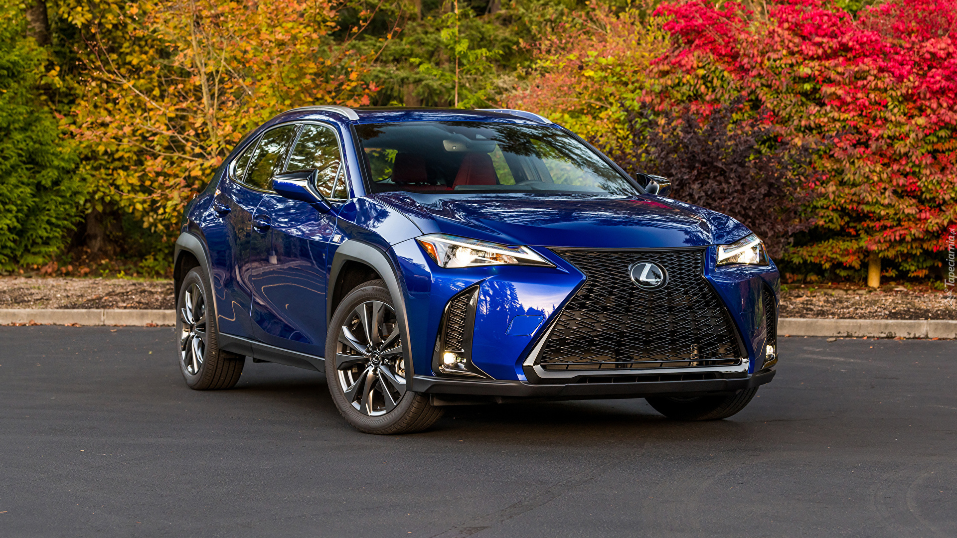 Niebieski, Lexus UX 200 F Sport