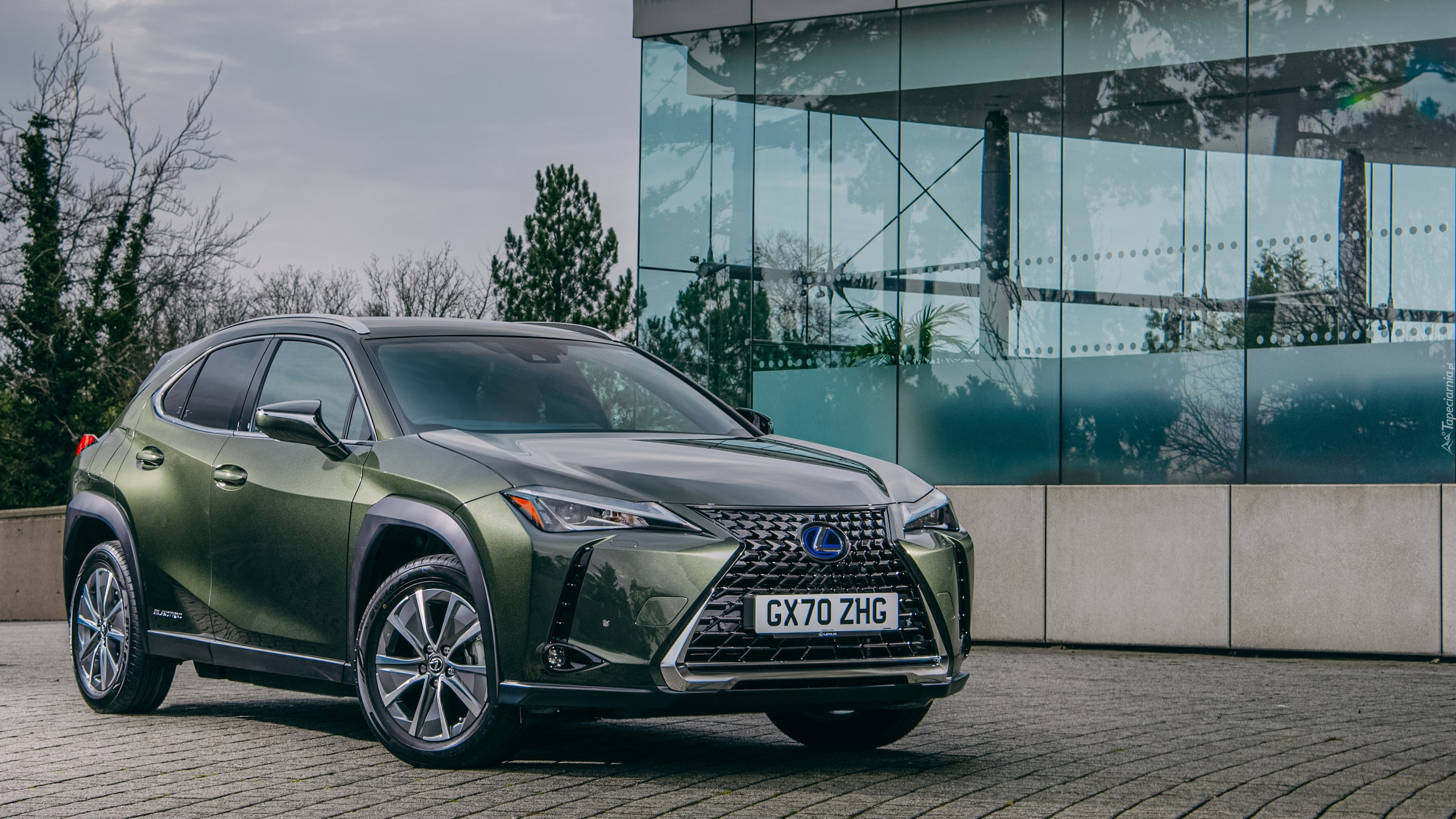 Lexus UX 300e, Oliwkowy