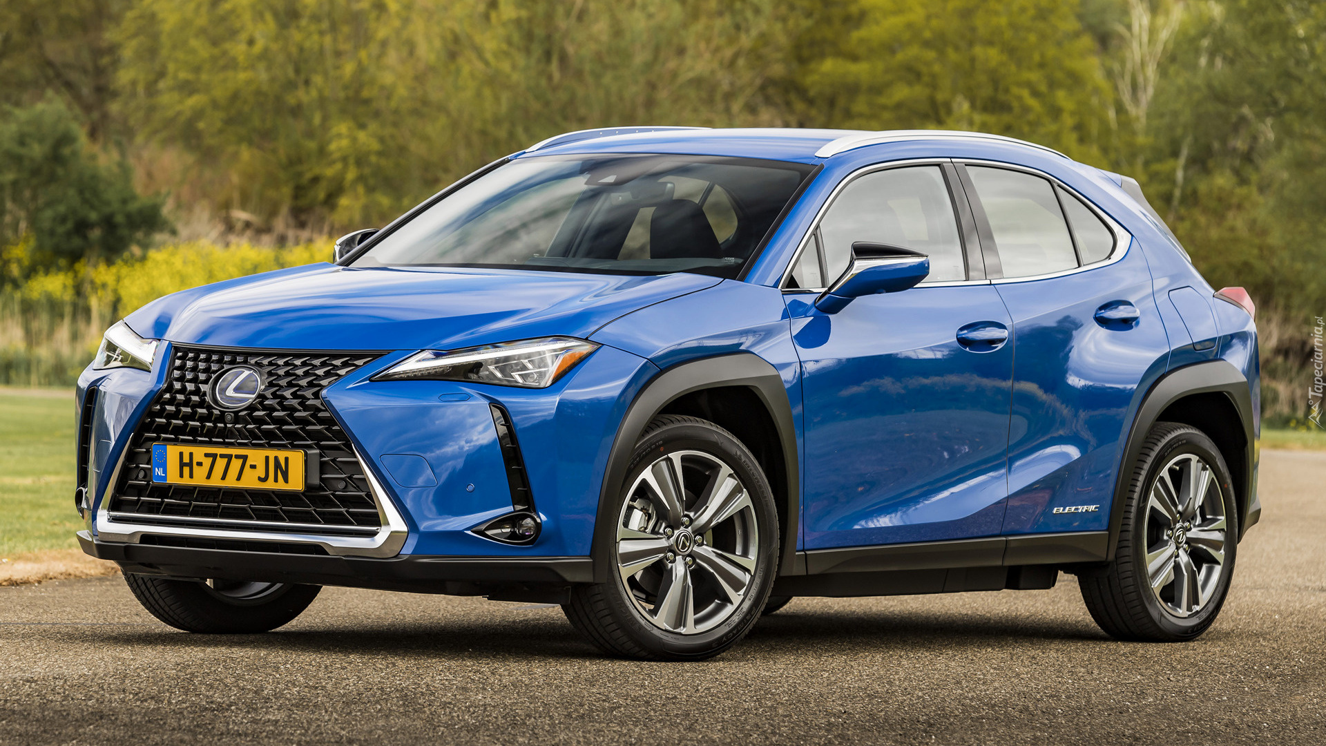 Lexus UX, Elektryczny