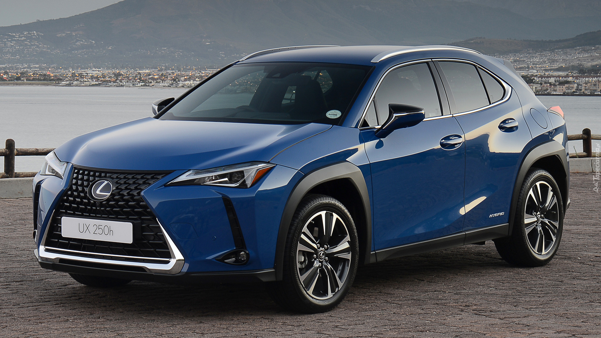 Lexus UX, Hybryda