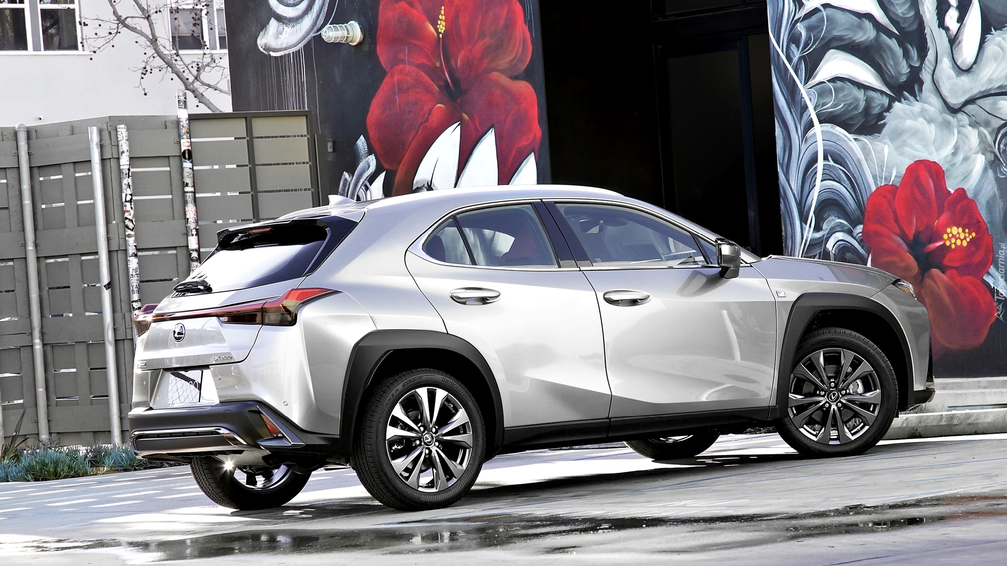 Srebrny, Lexus UX, Pomalowana, Ściana