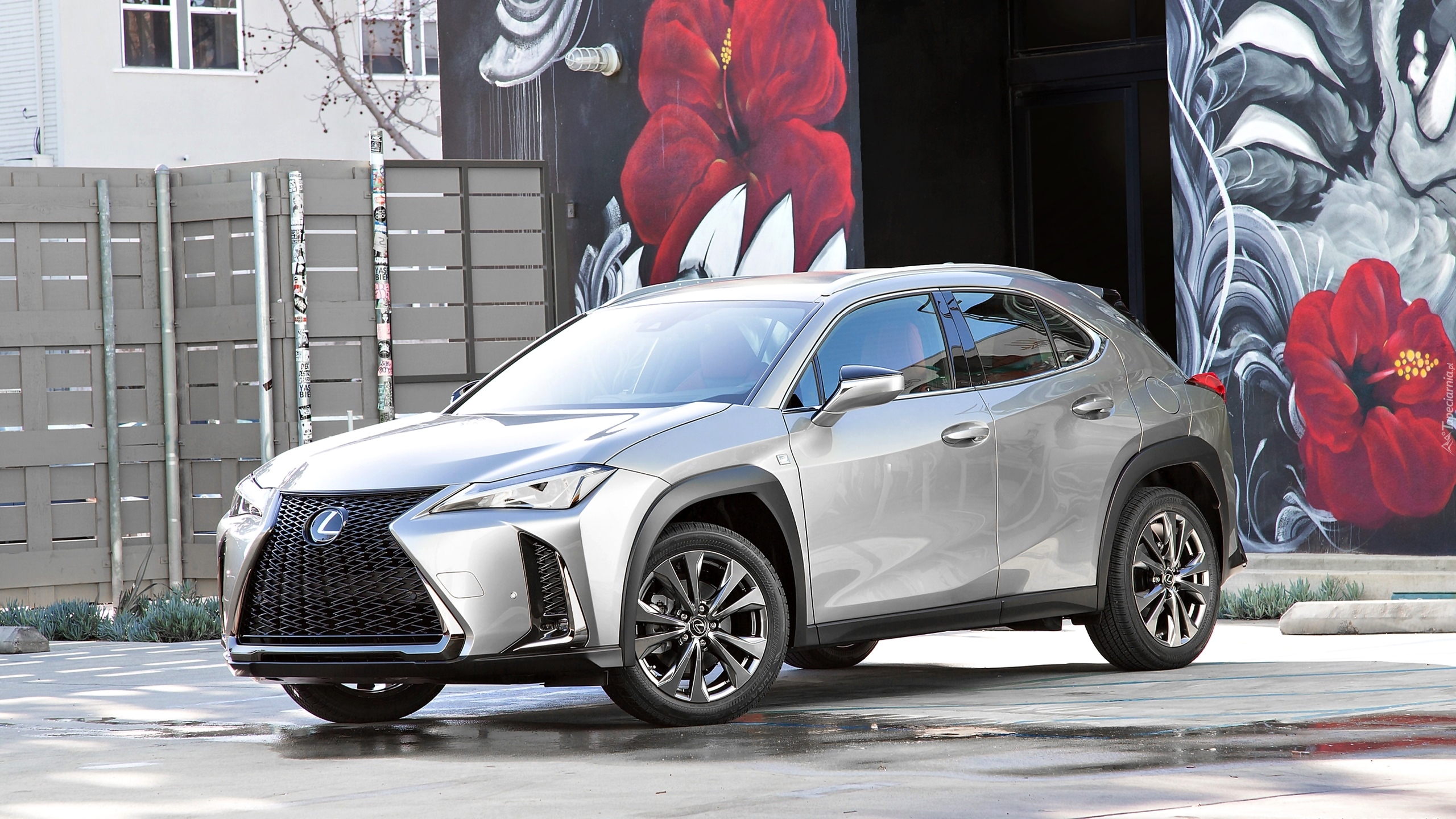 Lexus UX200, Ogrodzenie, Kolorowa, Ściana