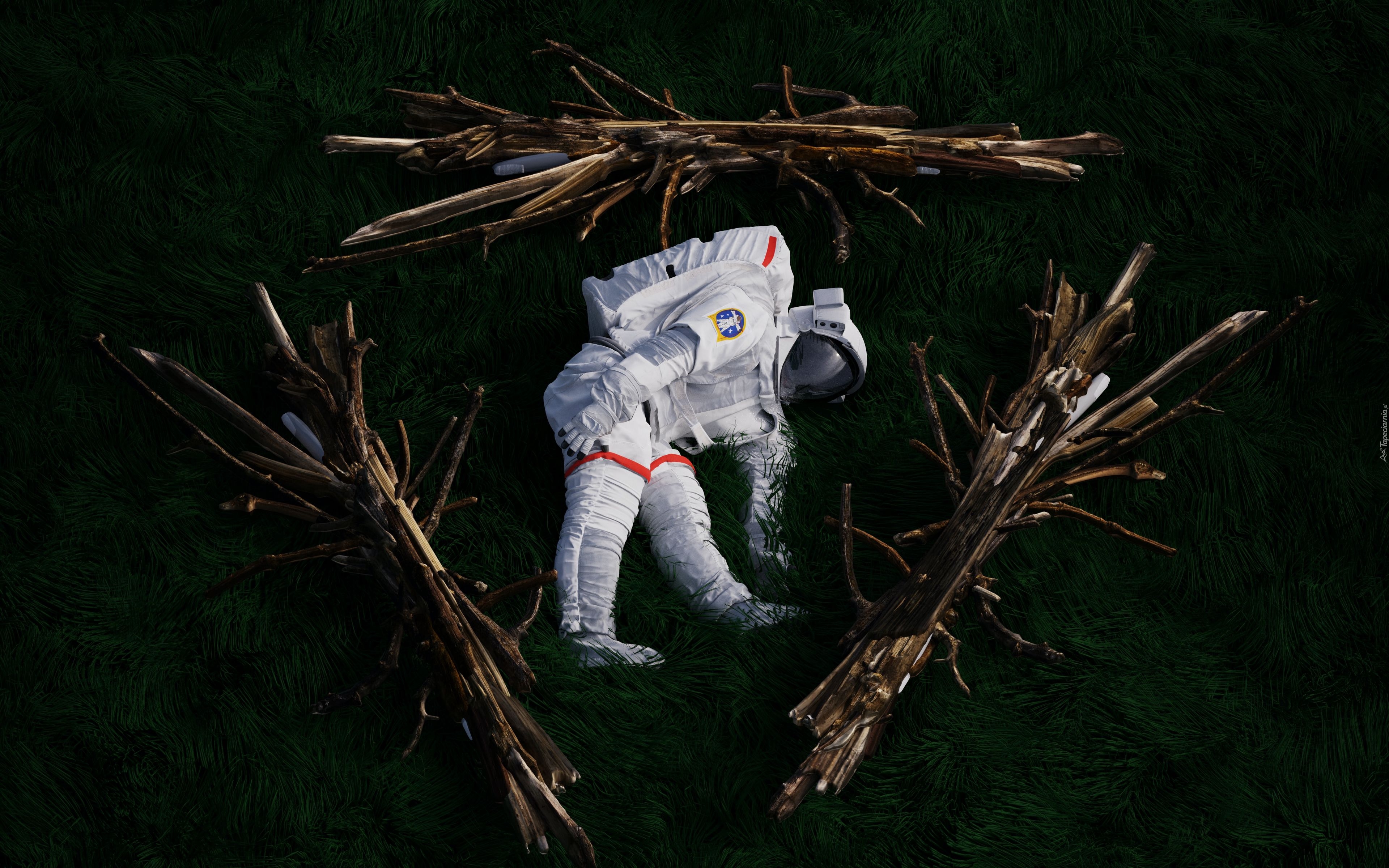 Astronauta, Skafander, Trawa, Gałęzie, Grafika 2D