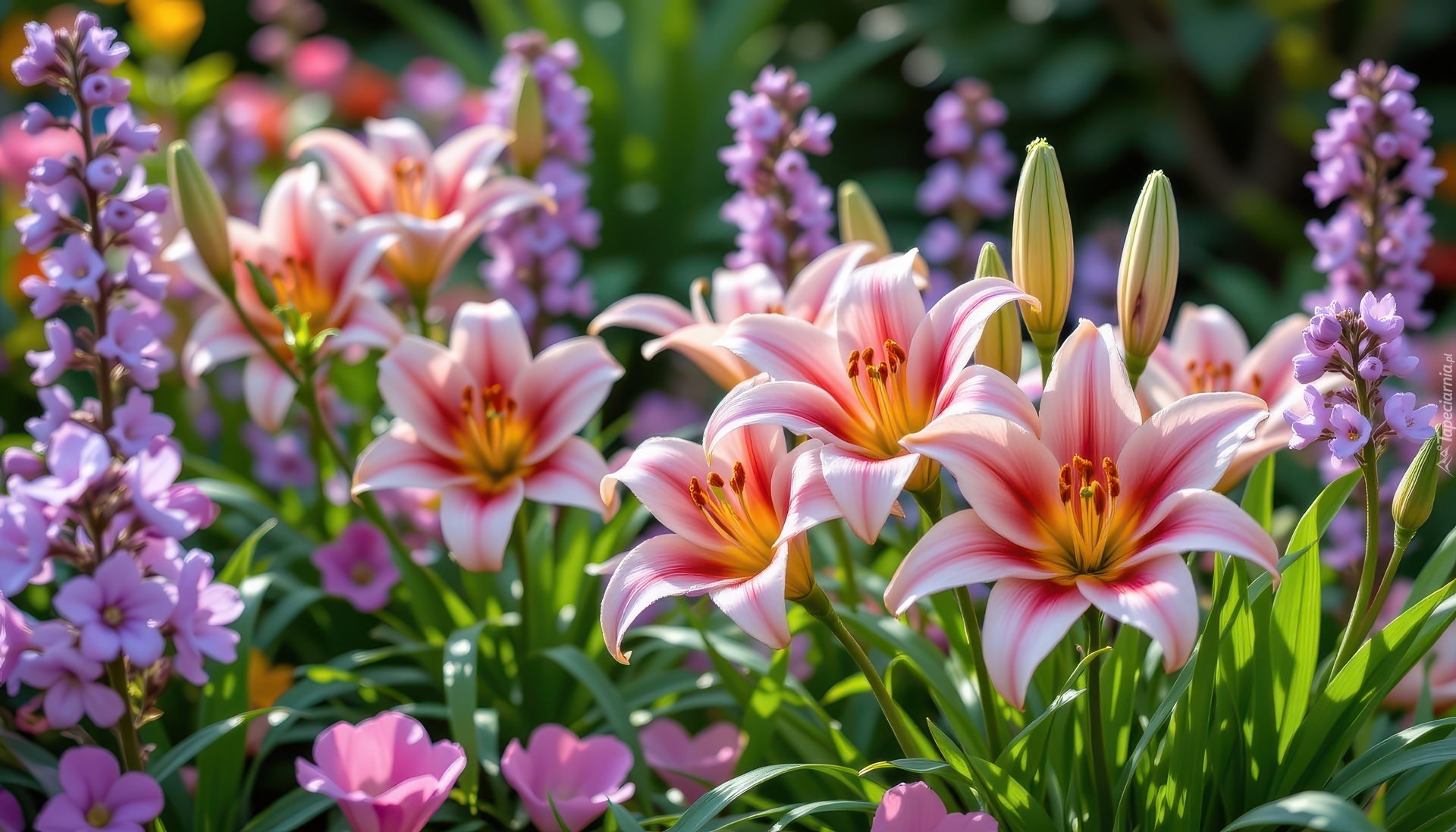 Kwiaty, Lilie, Grafika AI