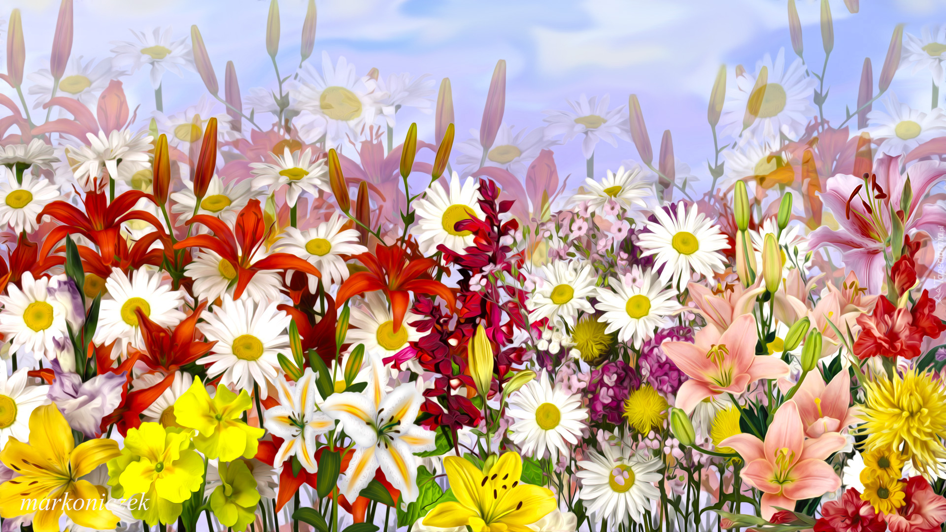 Kwiaty, Kolorowe, Lilie, Margerytki, Grafika