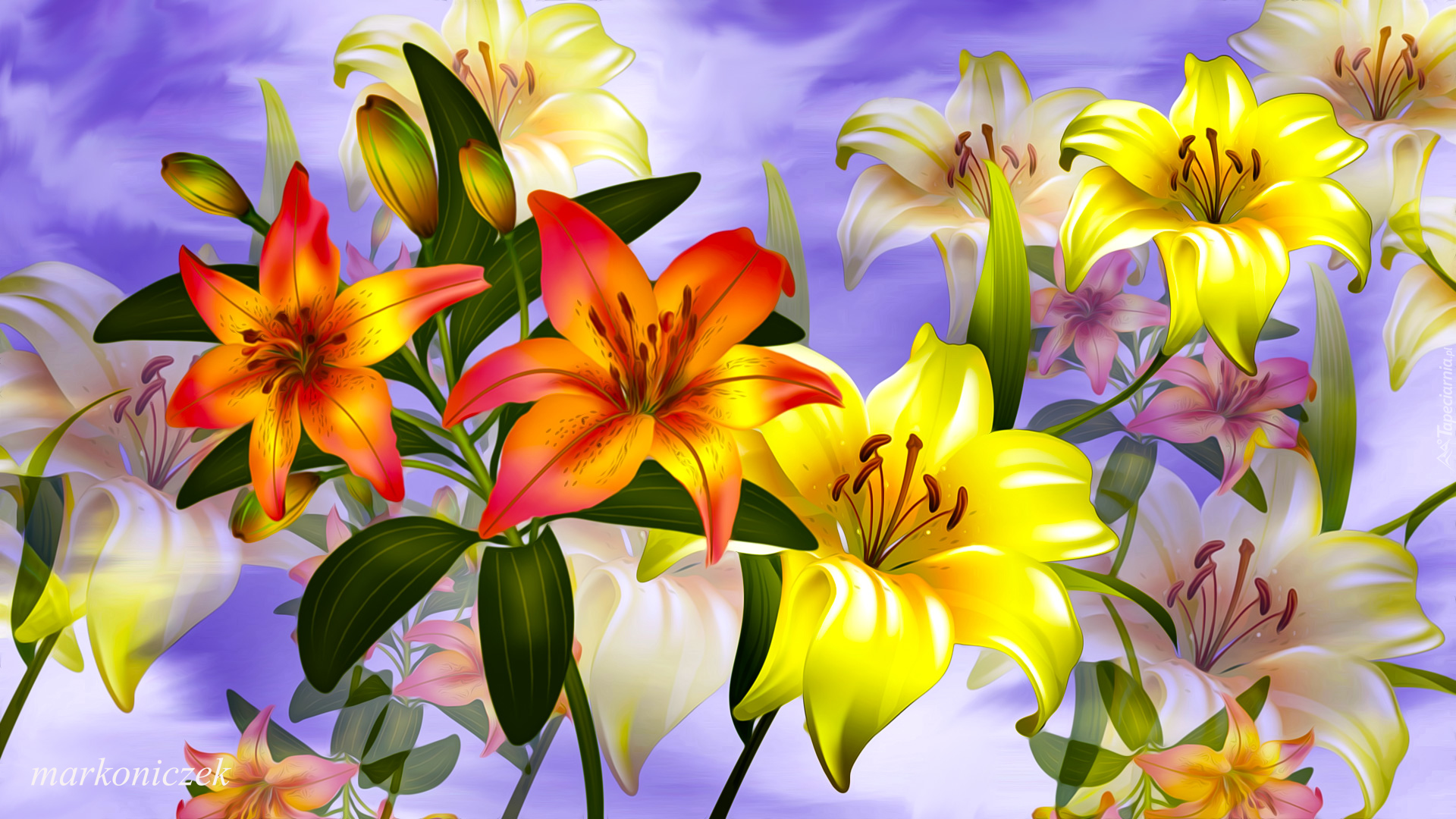 Kwiaty, Pomarańczowe, Żółte, Lilie, Grafika