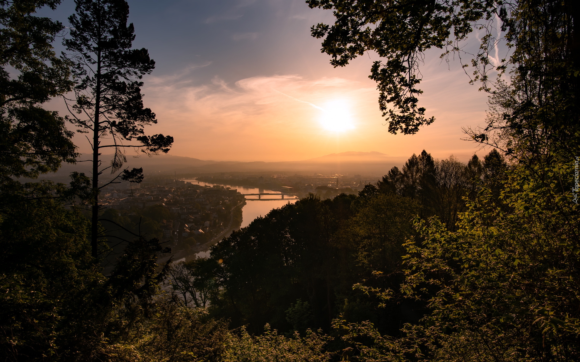 Wschód słońca, Drzewa, Rzeka Dunaj, Miasto Linz, Austria