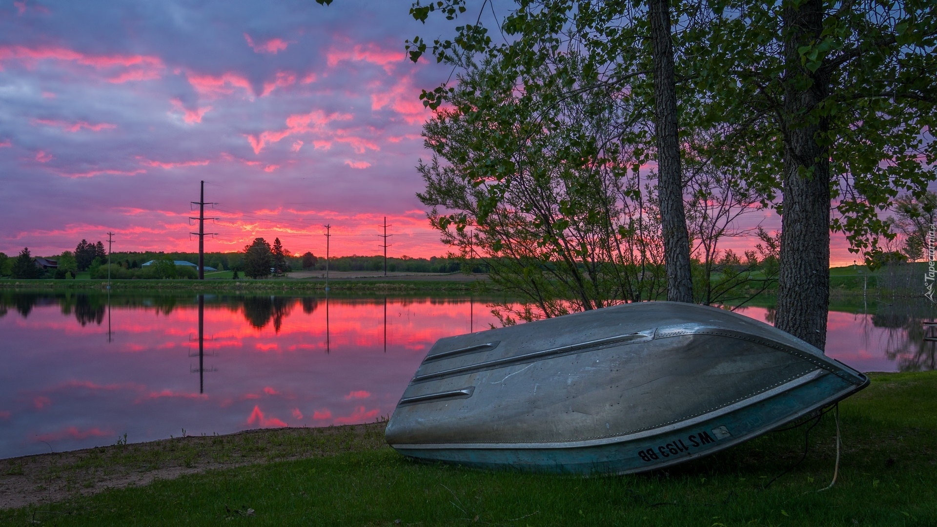 Zachód słońca, Różowe, Niebo, Jezioro, Sand Lake, Łódka, Drzewa, Trawa, Wisconsin, Stany Zjednoczone