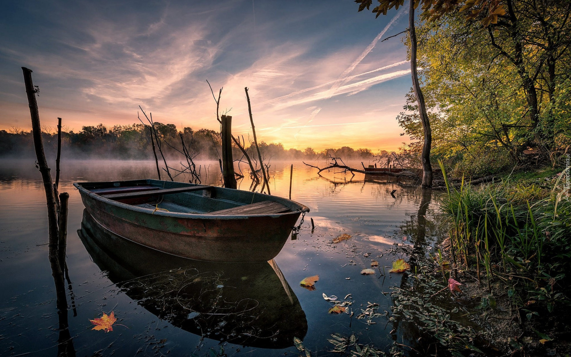 Jesień, Jezioro, Łódż, Mgła, Poranek, Drzewa, Trawa