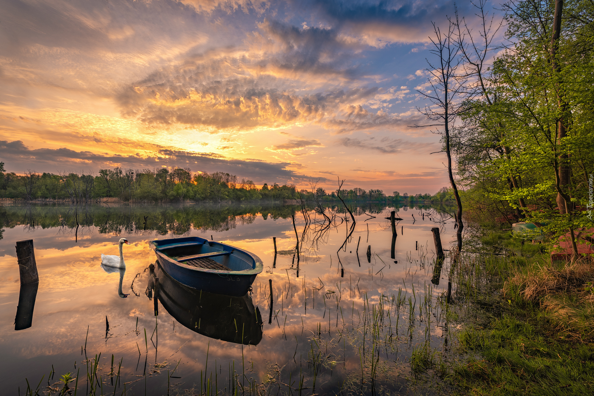 Можно ли на лодке на озере. Лодка на озере. Пейзаж с лодкой. Красивая лодка. Красивый пейзаж с лодкой.