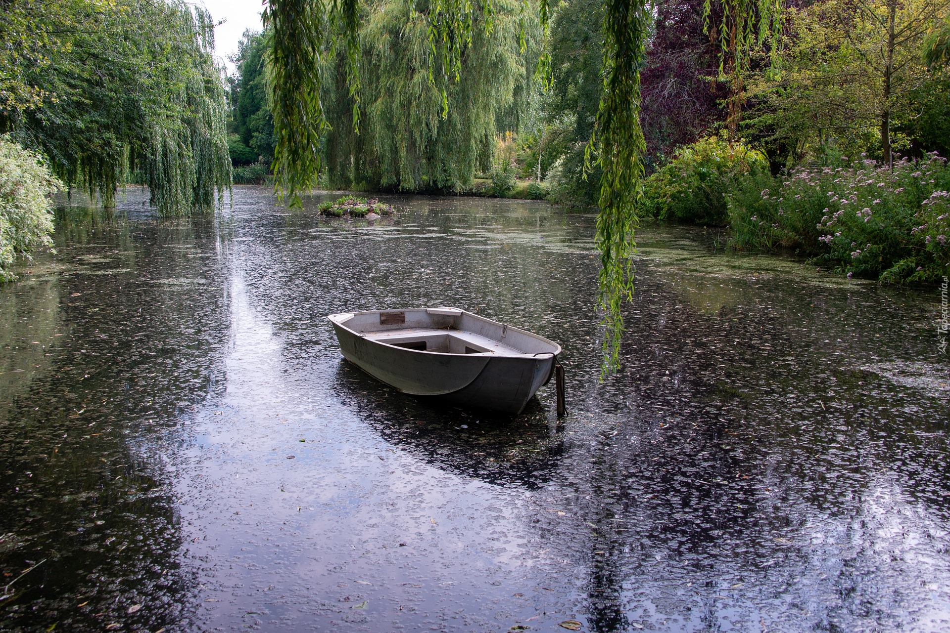 Łódka, Staw, Wierzby płaczące, Ogród, Gooderstone Water Gardens, 
Gooderstone, Norfolk, Anglia