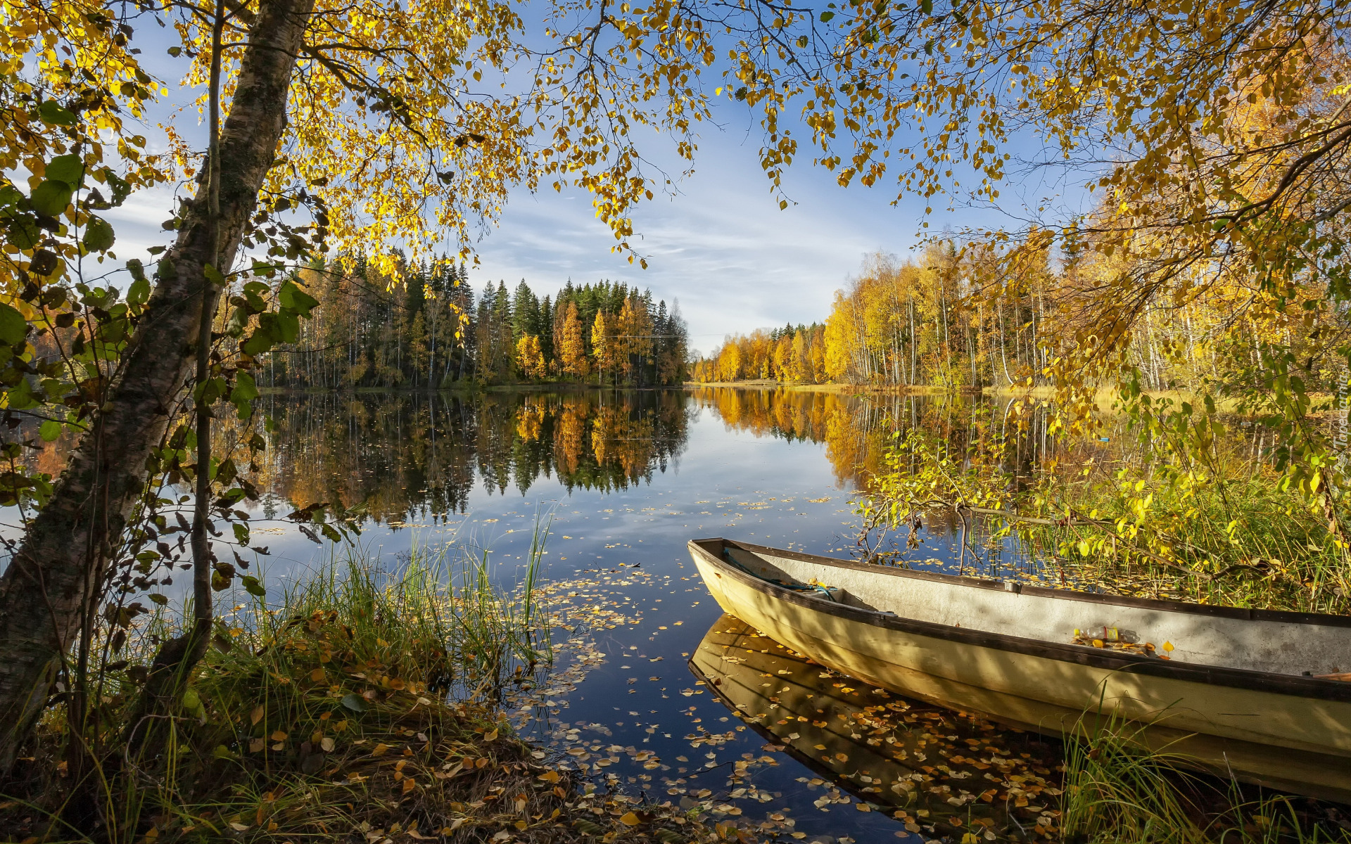 Jezioro, Łódka, Drzewa, Brzozy, Las, Jesień, Słoneczny, Dzień