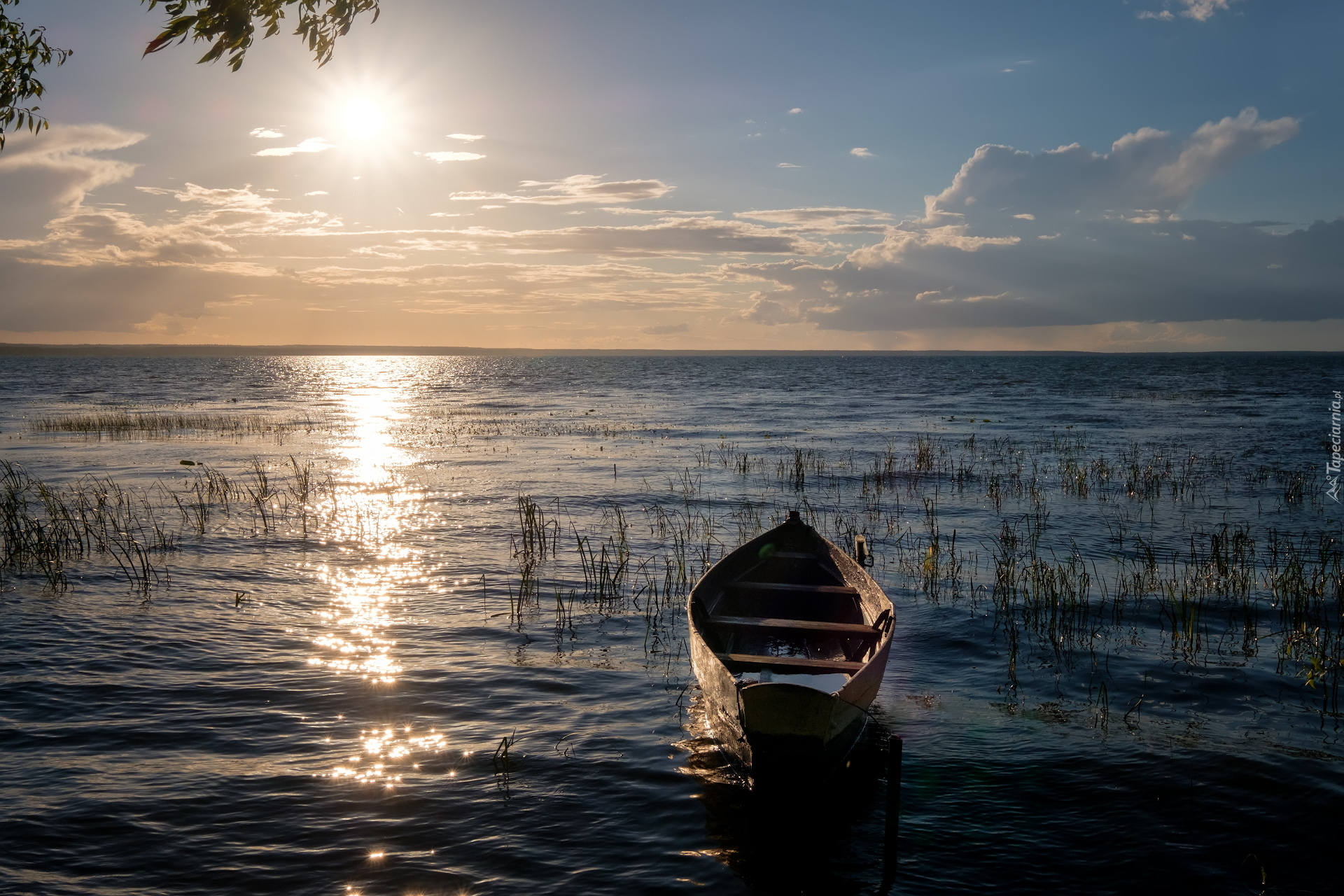 Jezioro, Łódka, Promienie słońca, Trawa