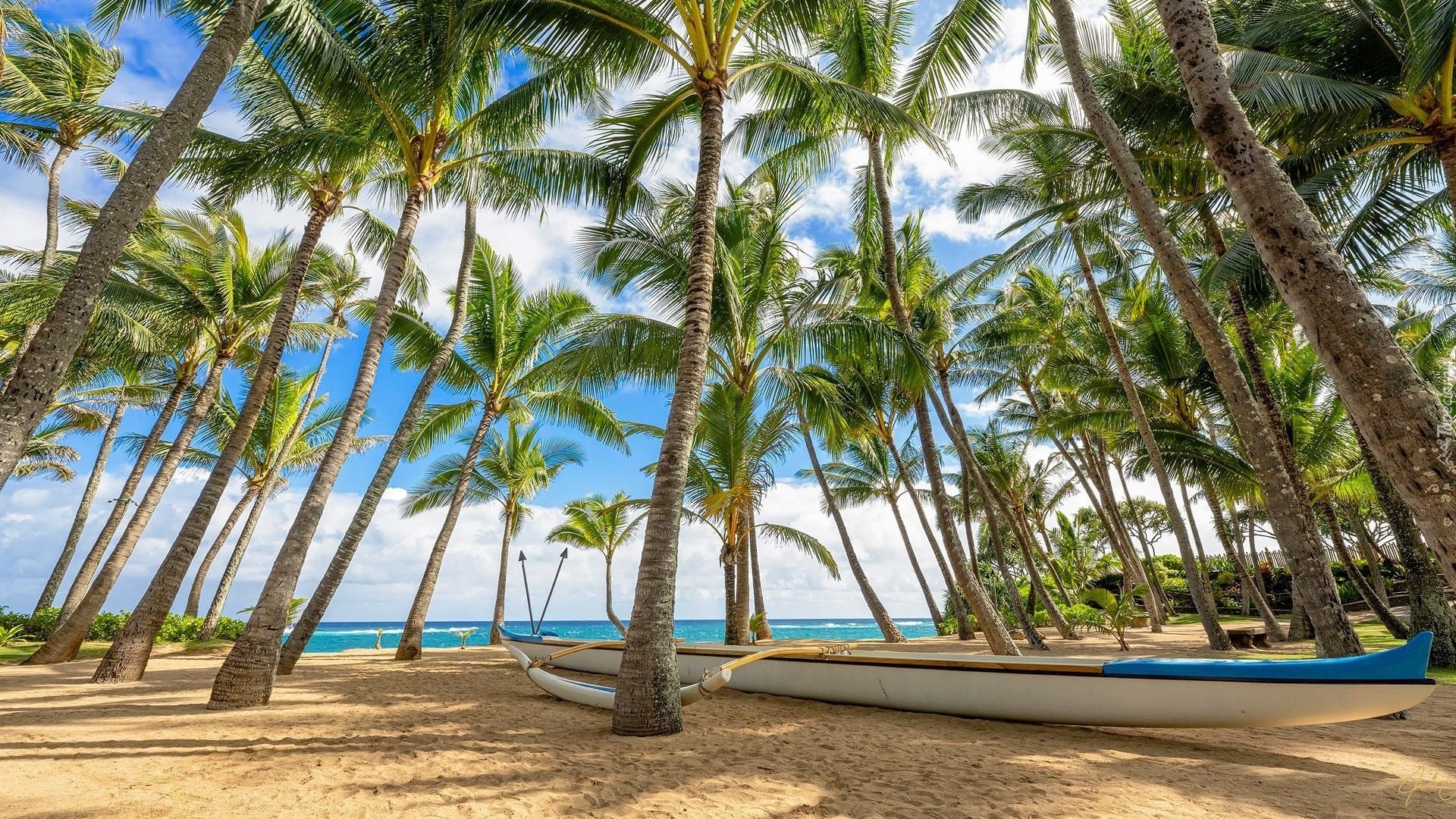 Stany Zjednoczone, Hawaje, Palmy, Morze, Plaża, Łódka, Chmury