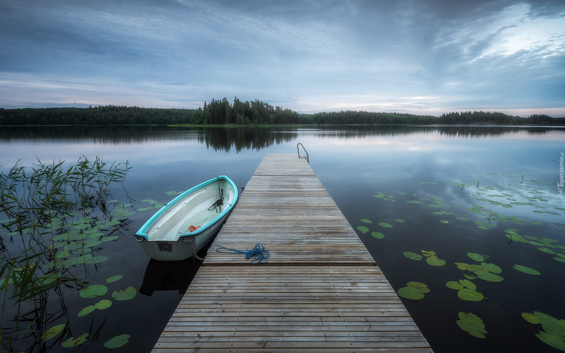 Drewniany, Pomost, Jezioro, Muskan Lake, Łódka, Trawa, Szwecja