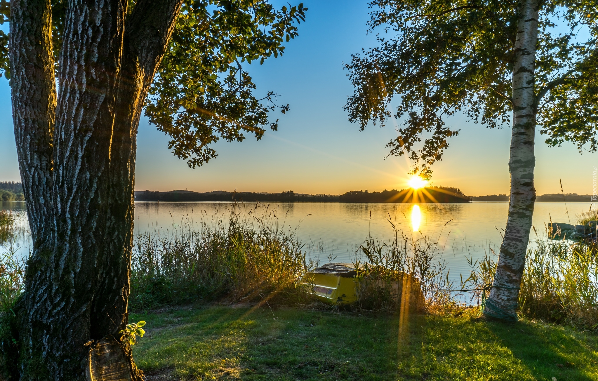 Jezioro, Brzeg, Wschód słońca, Drzewa, Brzoza, Łódka