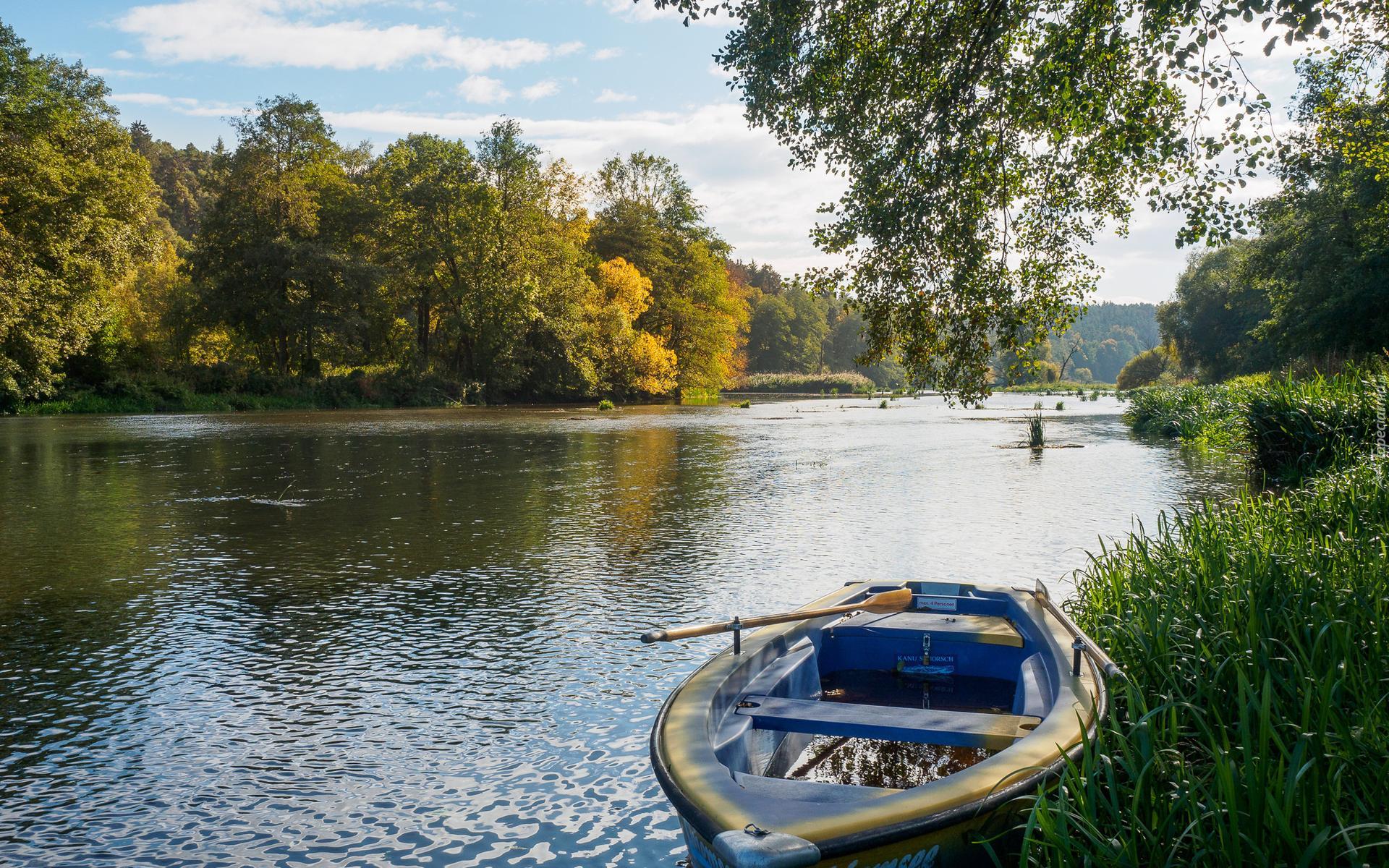 Jezioro, Łódka, Drzewa