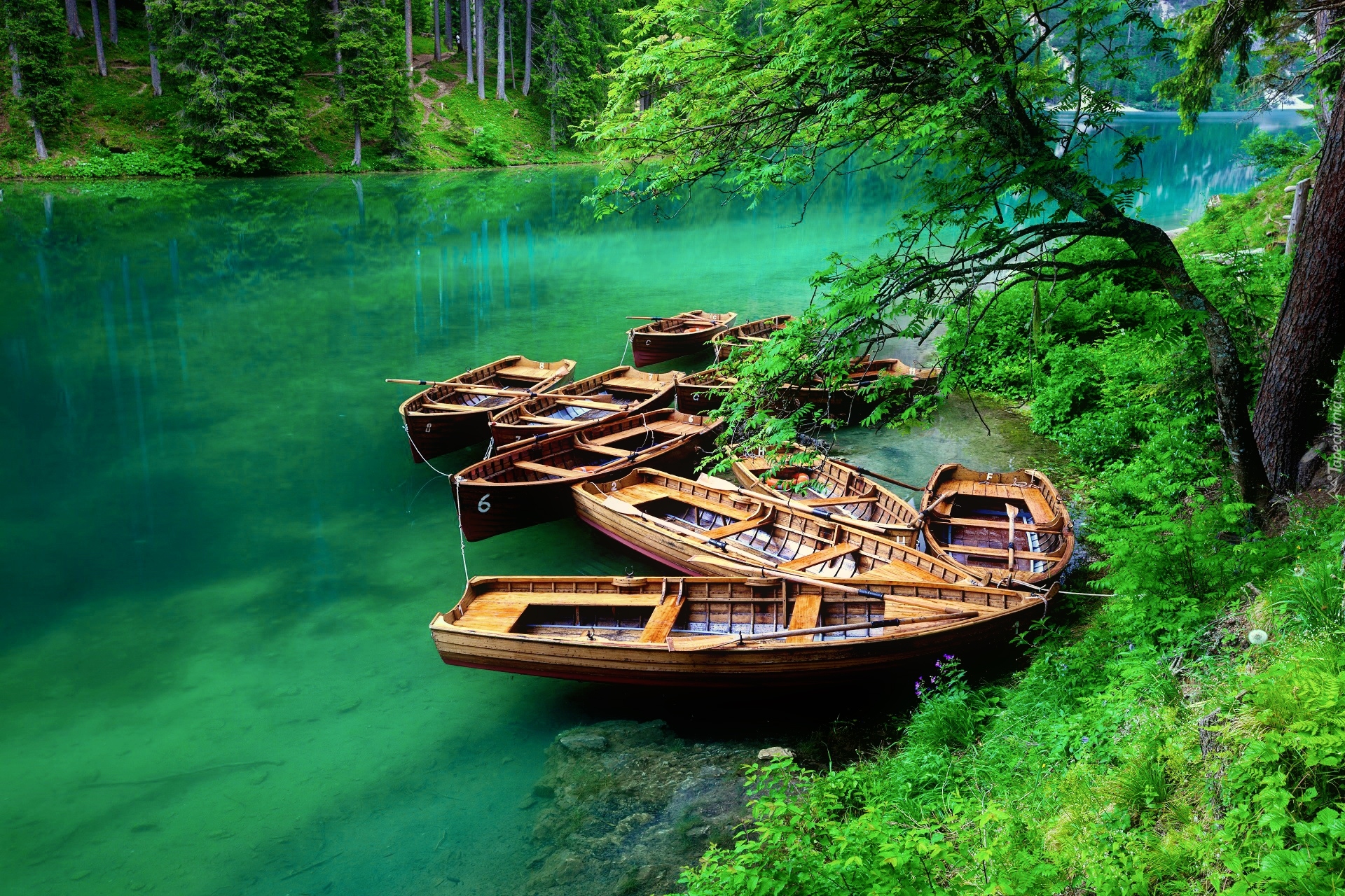 Włochy, Południowy Tyrol, Jezioro Pragser Wildsee, Łódki, Las