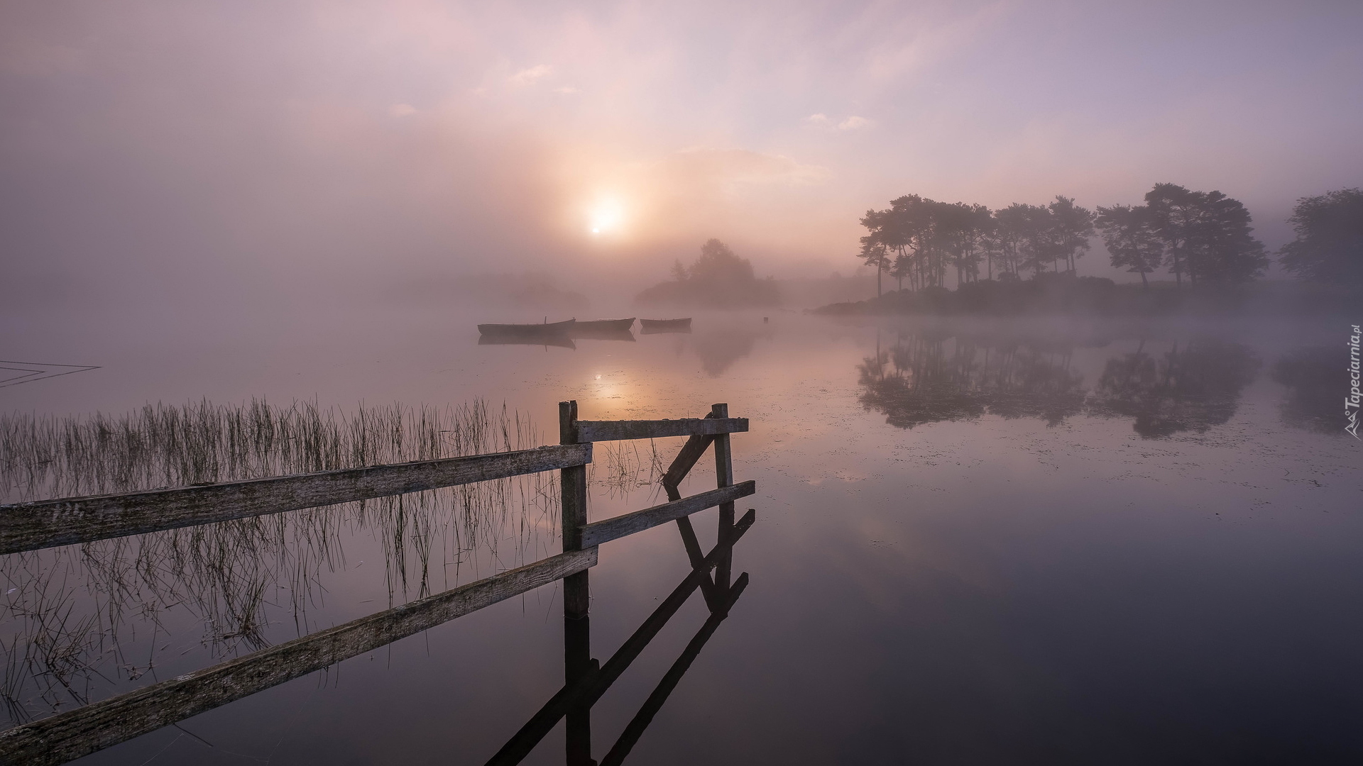 Jezioro, Knapps Loch, Drzewa, Wschód słońca, Łódki, Mgła, Szkocja