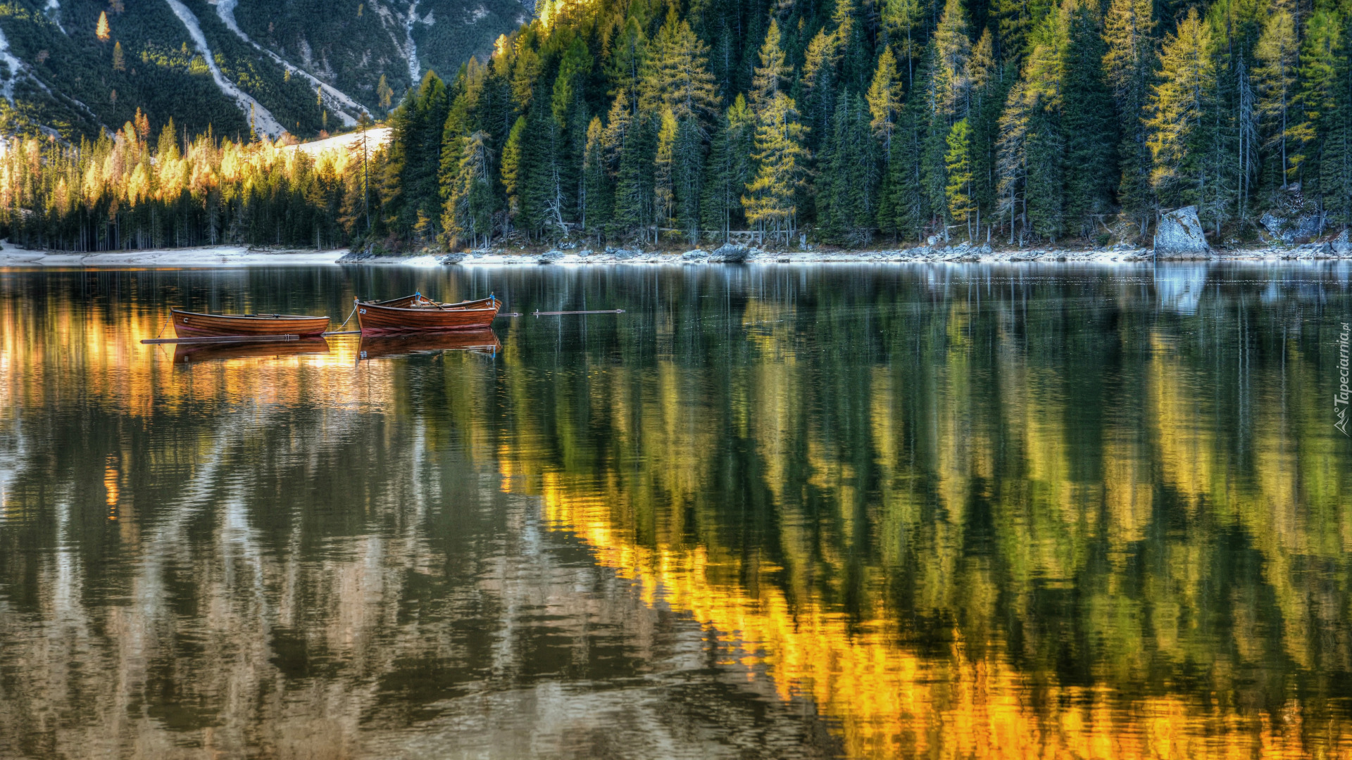 Łódki, Las, Jezioro, Pragser Wildsee, Południowy Tyrol, Dolomity, Włochy
