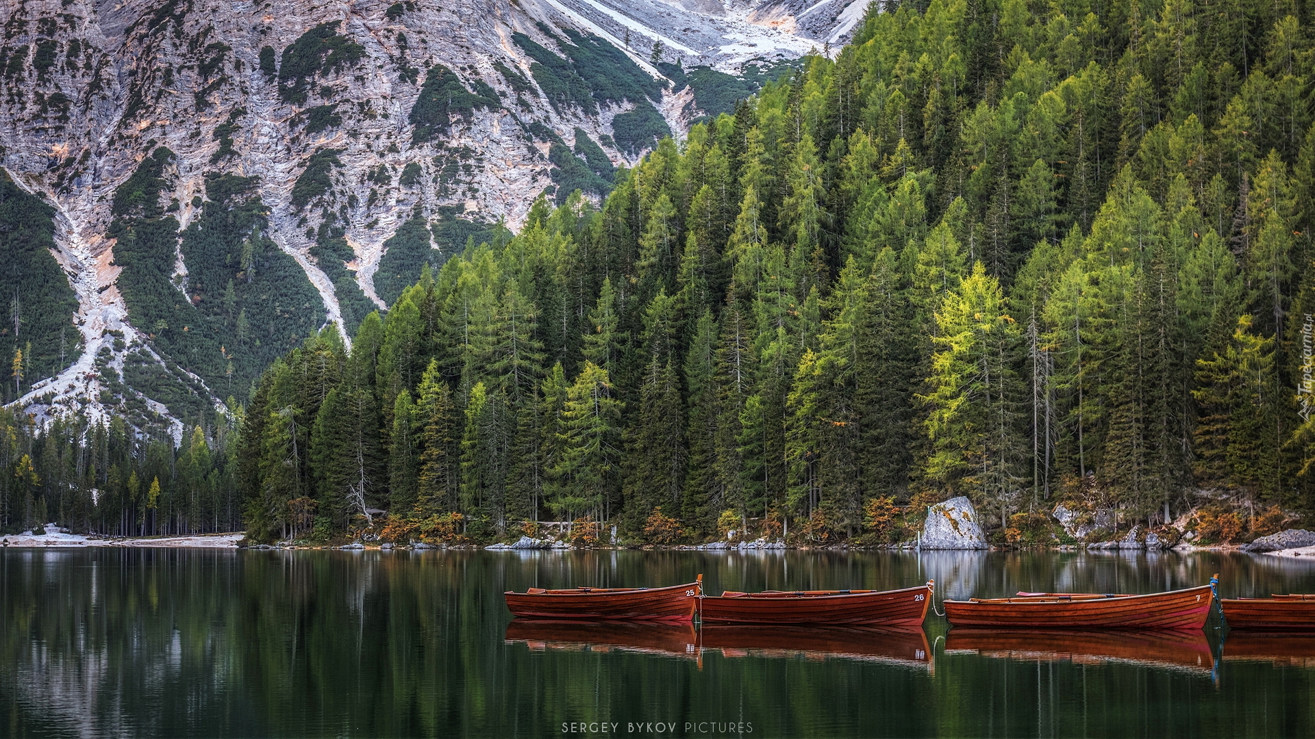 Włochy, Południowy Tyrol, Góry Dolomity, Drzewa, Jezioro Pragser Wildsee, Łódki