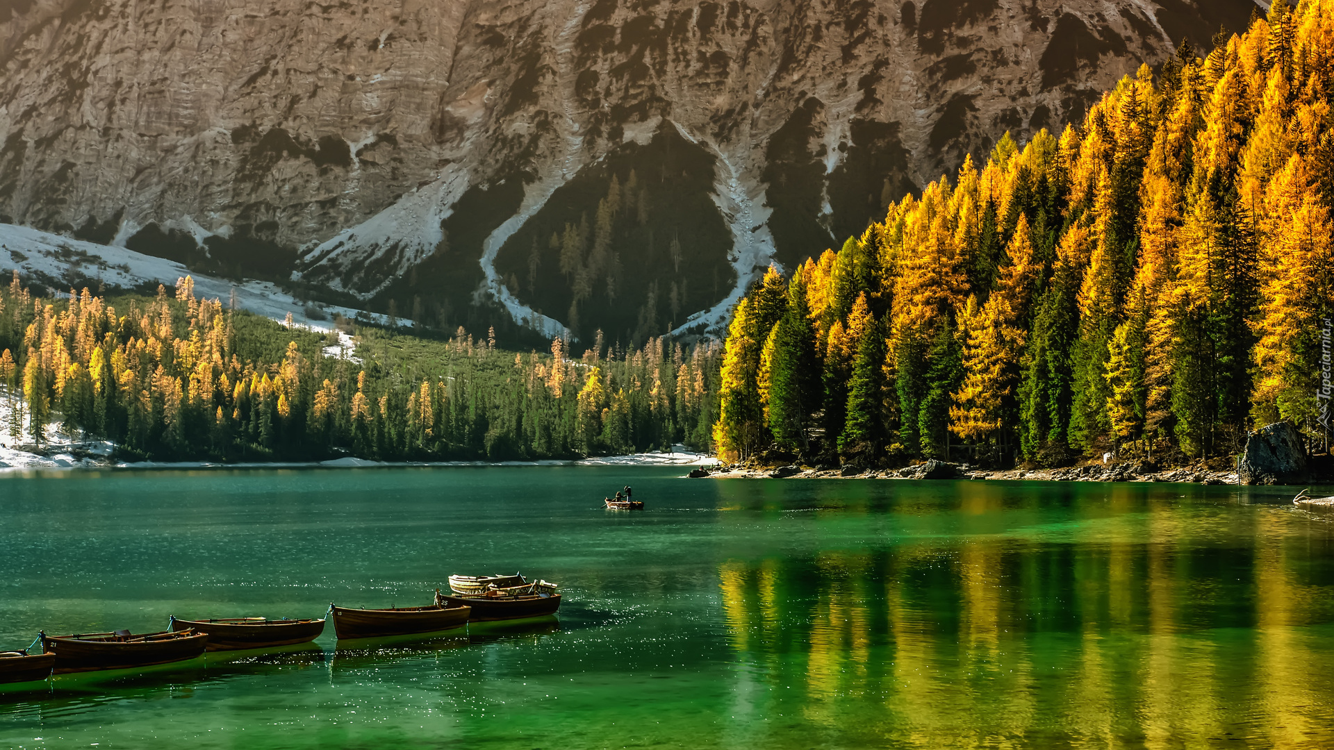 Łodzie, Drzewa, Las, Jezioro Pragser Wildsee, Góry, Włochy