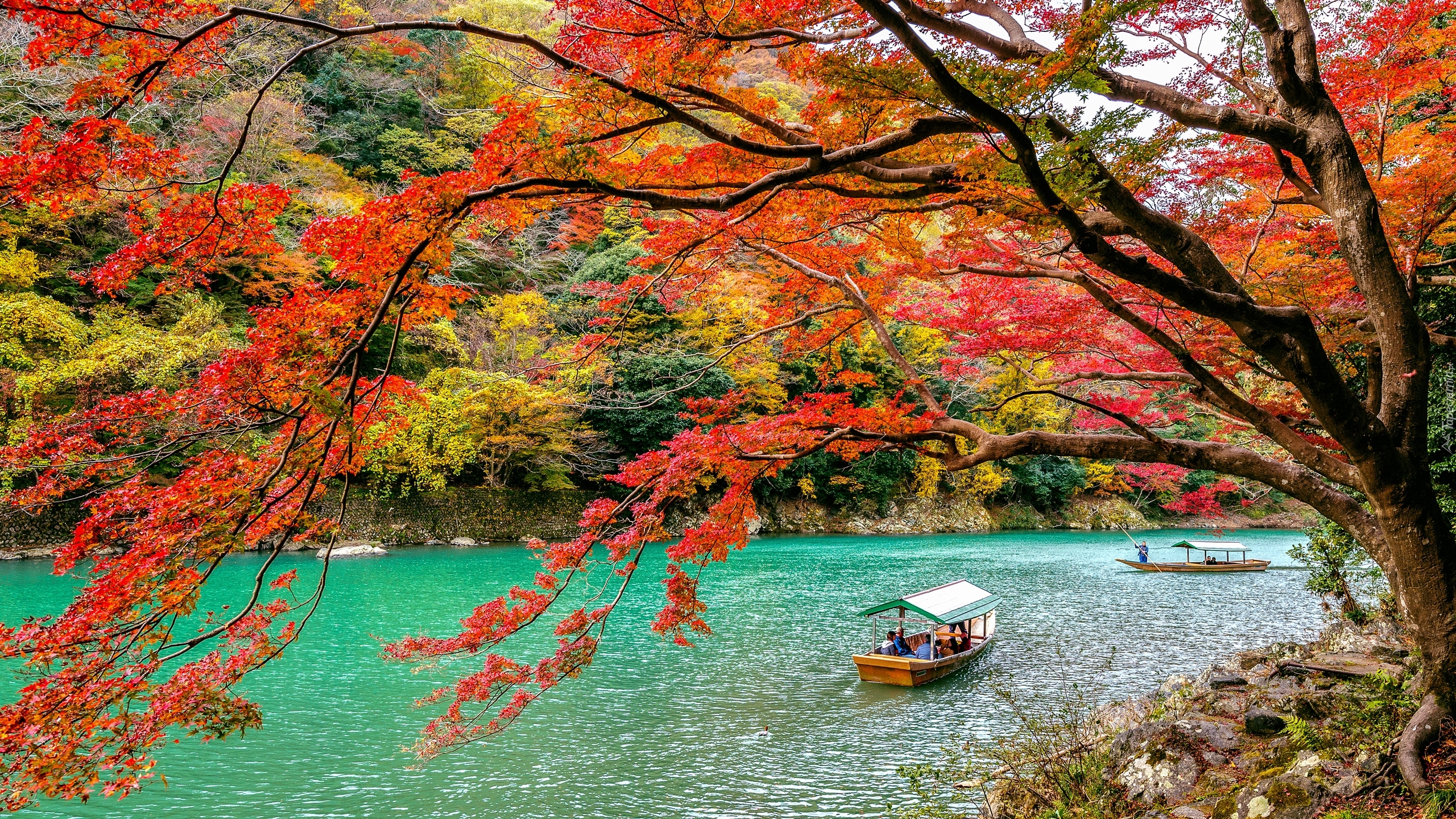 Rzeka Hozu, Łódki, Kolorowe, Drzewa, Dzielnica Arashiyama, Kioto, Japonia