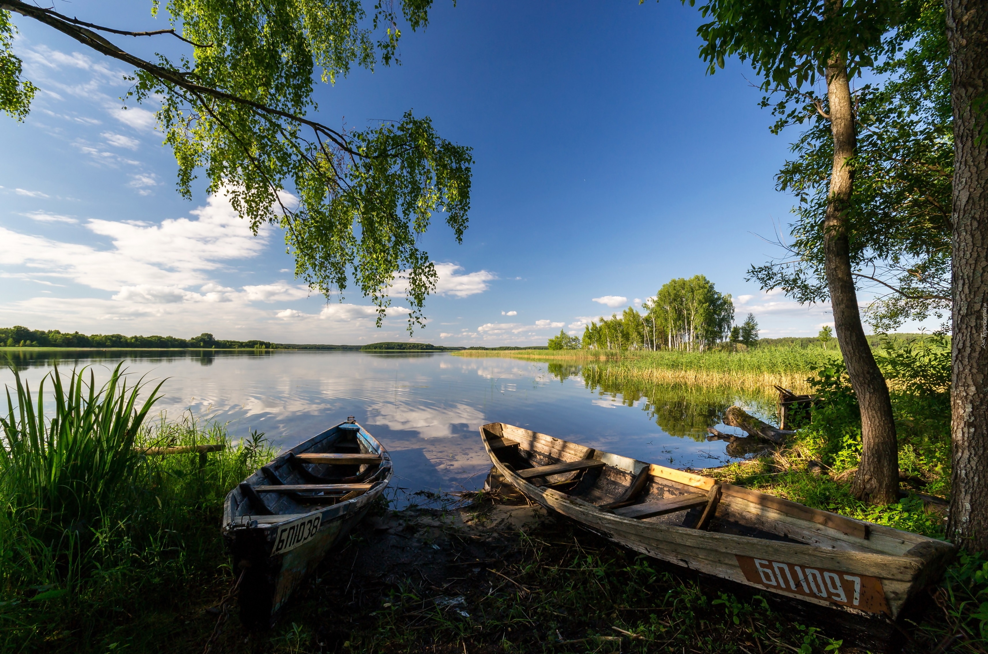 Białoruś, Rzeka, Łódki, Drzewa, Lato