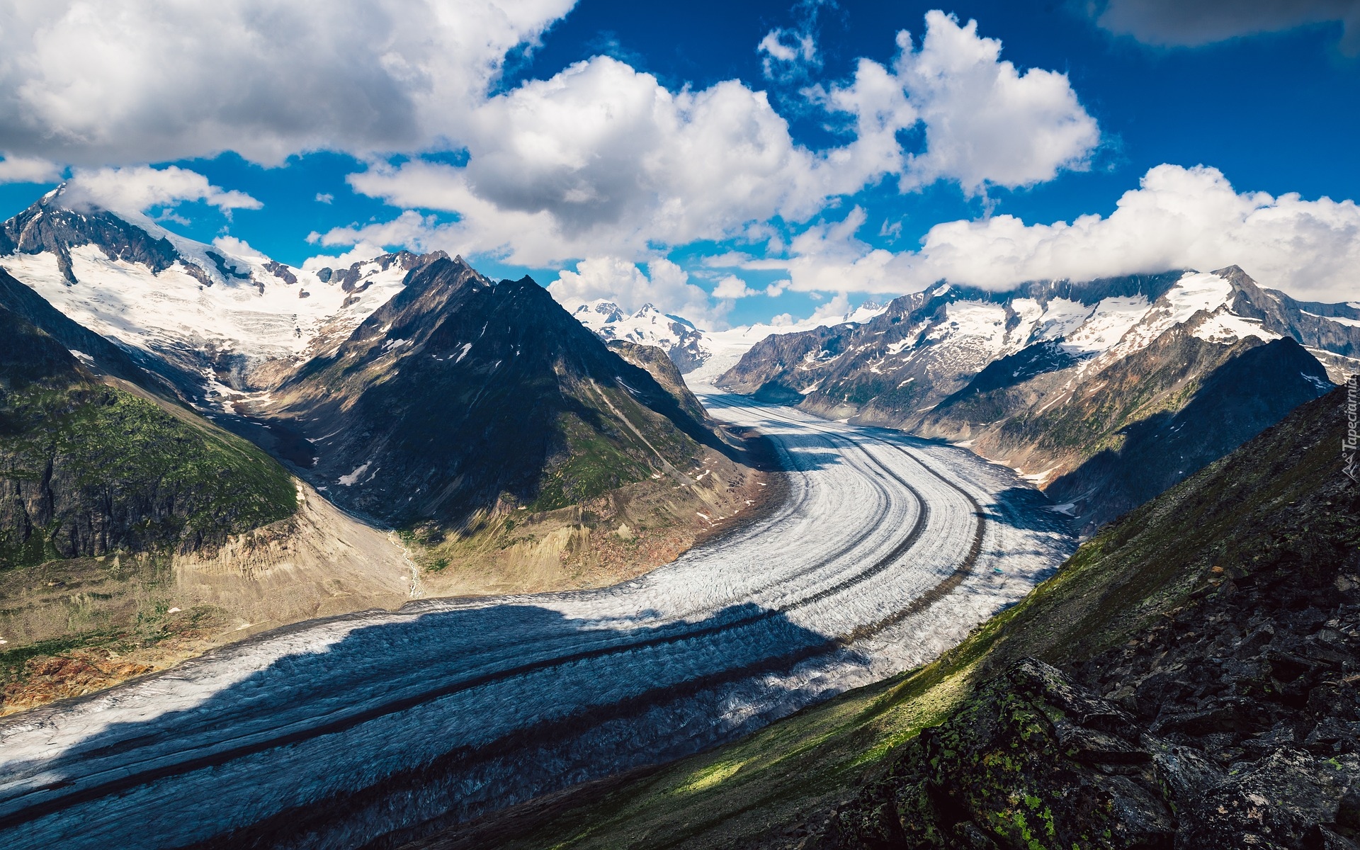 Góry, Alpy Berneńskie, Lodowiec, Aletschgletscher, Valais, Szwajcaria