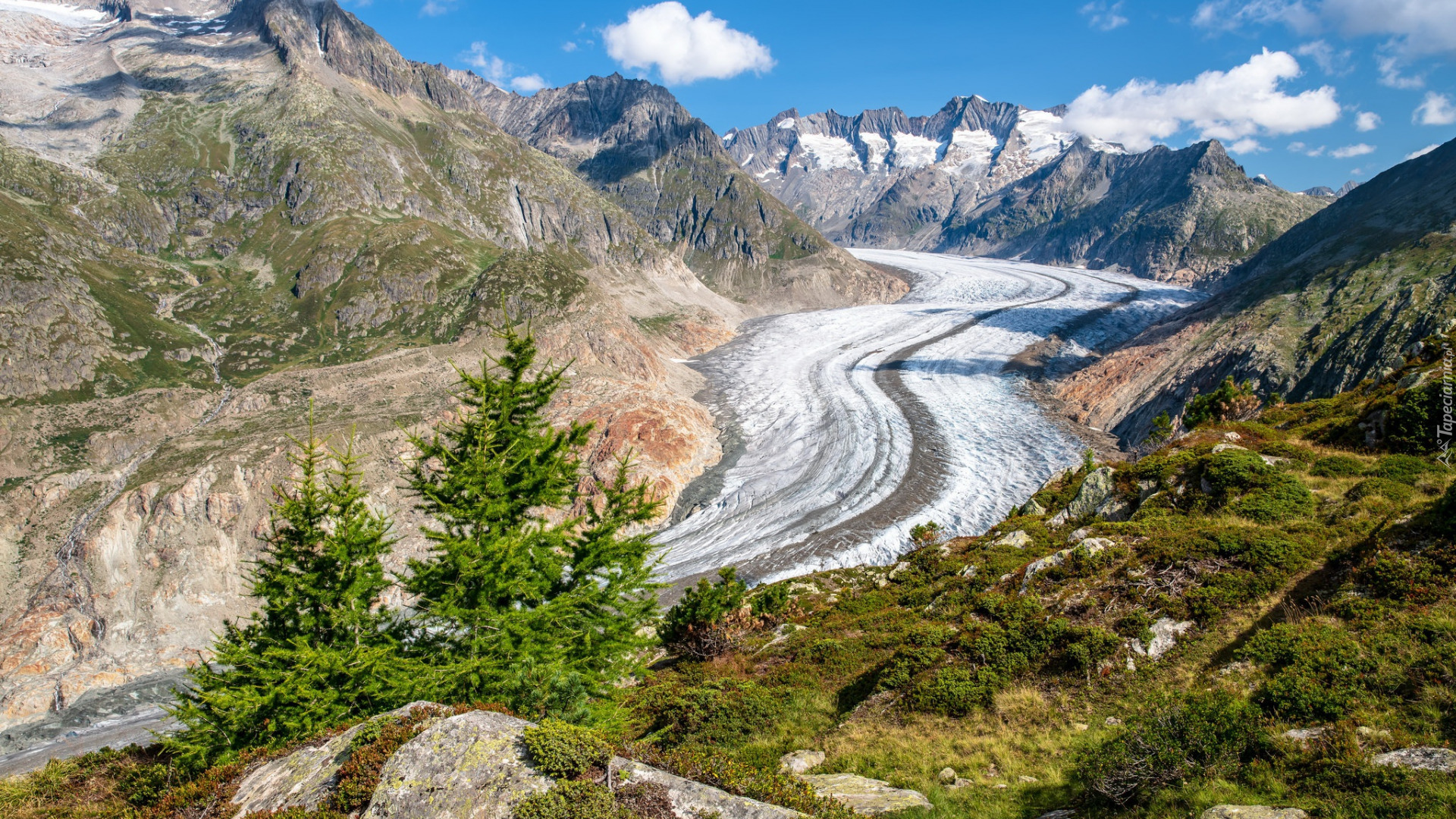 Lodowiec Aletschgletscher, Aletsch, Góry Alpy Berneńskie, Kanton Valais, Szwajcaria