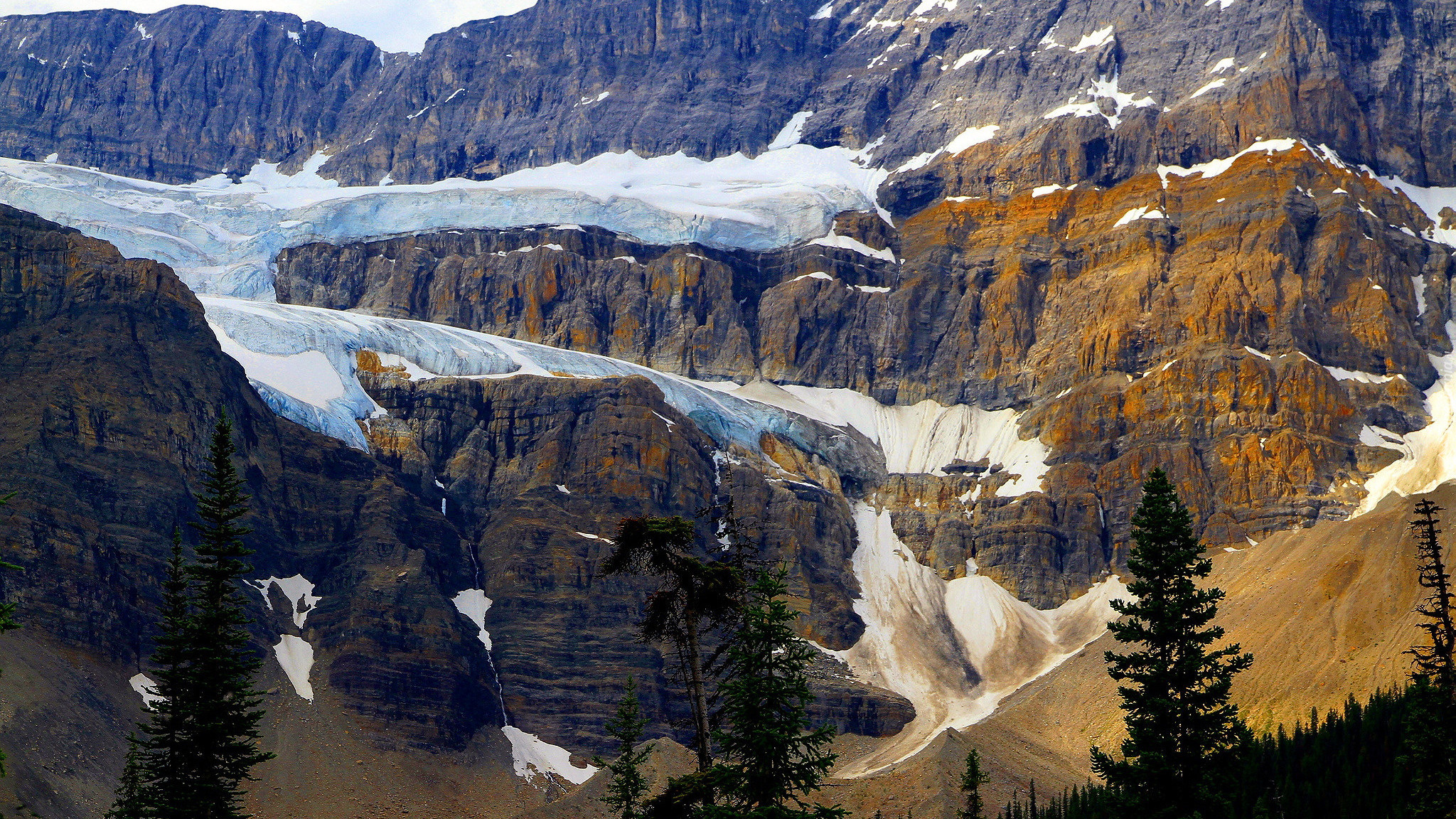 Góry, Crowfoot Mountain, Park Narodowy Banff, Drzewa, Lodowiec, Crowfoot Glacier, Alberta, Kanada