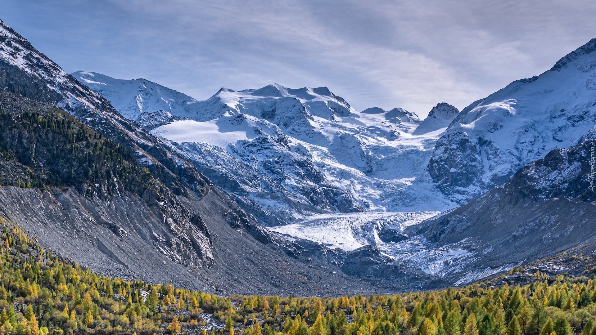 Szwajcaria, Góry, Alpy, Lodowiec, Morteratsch Glacier, Drzewa