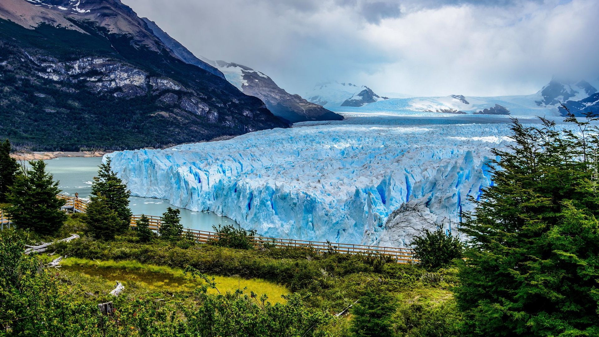 Lodowiec, Perito Moreno, Jezioro, Lago Argentino, Góry, Drzewa, Park Narodowy Los Glaciares, Prowincja Santa Cruz, Argentyna