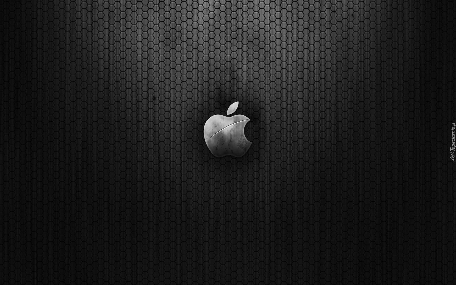 Apple, Logo, Szare