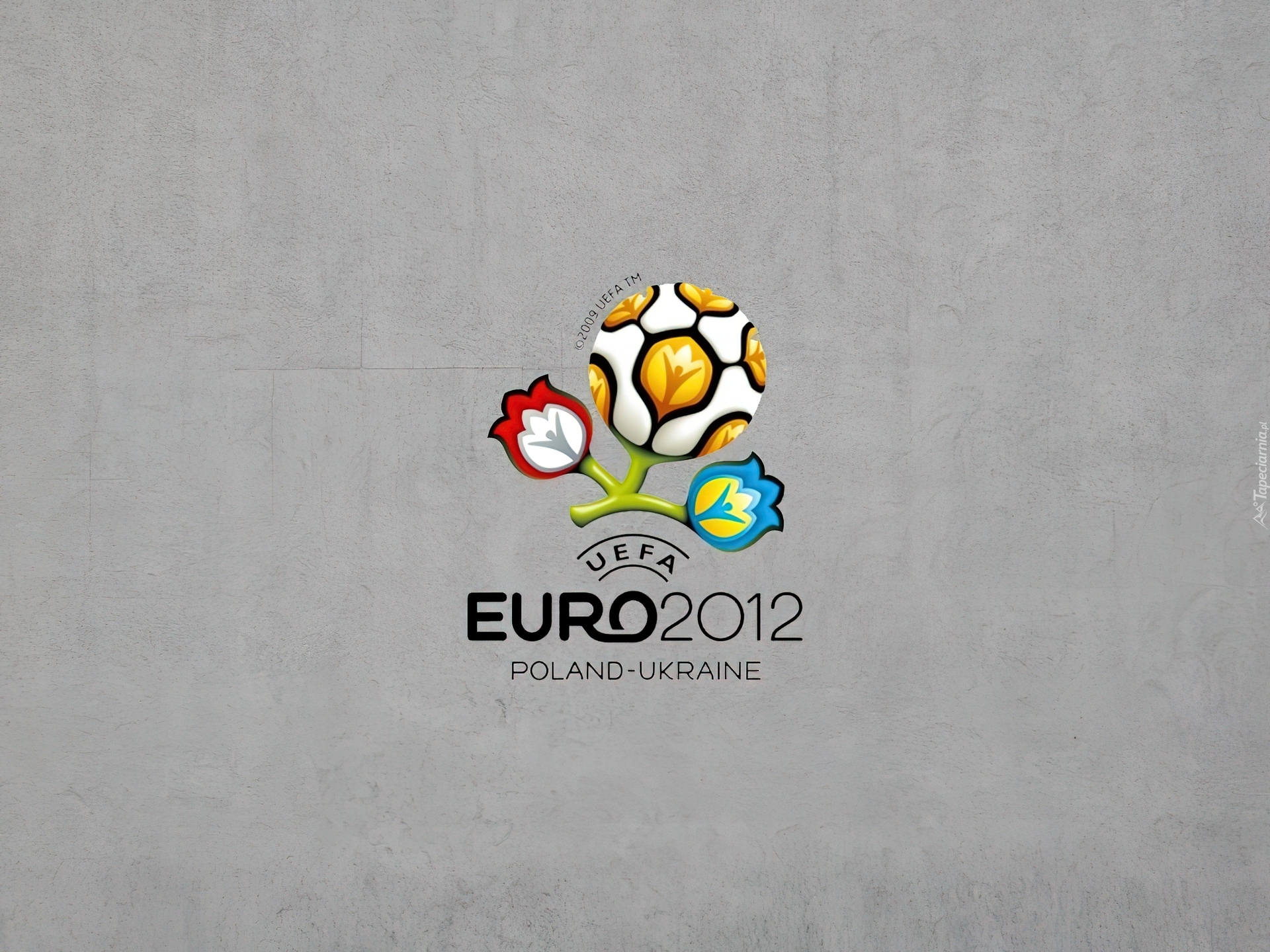 Logo, Euro, 2012