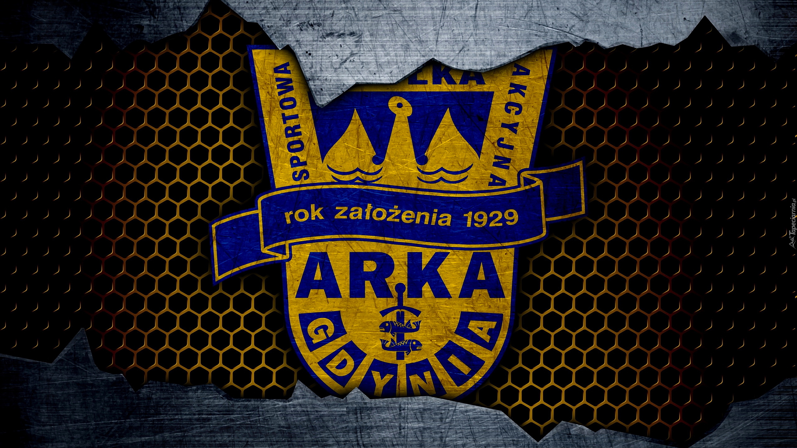 Logo, Klub piłkarski, Arka Gdynia