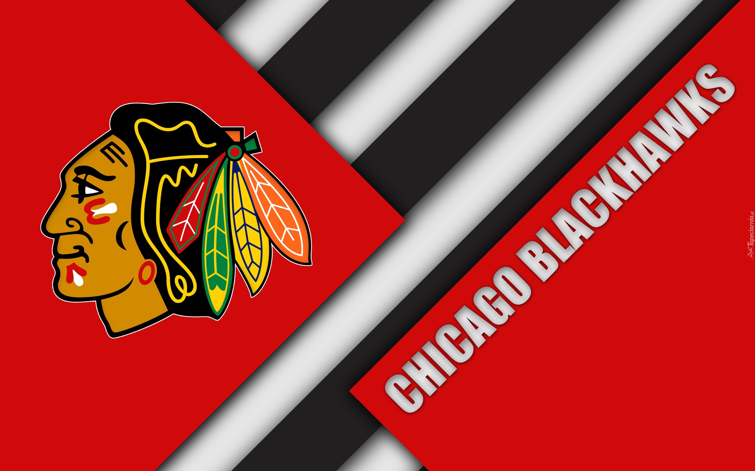 Klub hokejowy, Hokej, Chicago Blackhawks