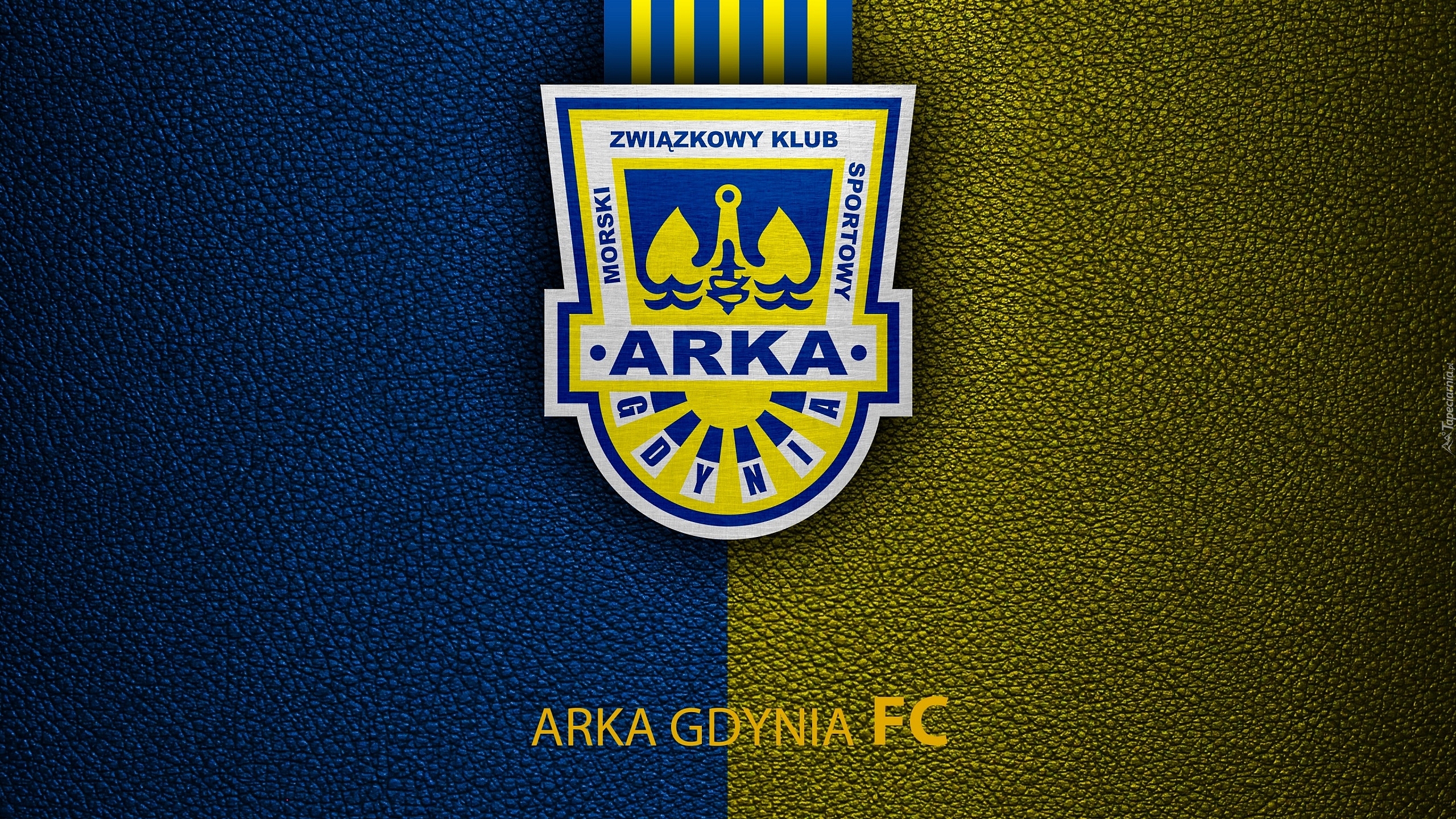 Logo, Arka Gdynia, Piłka nożna