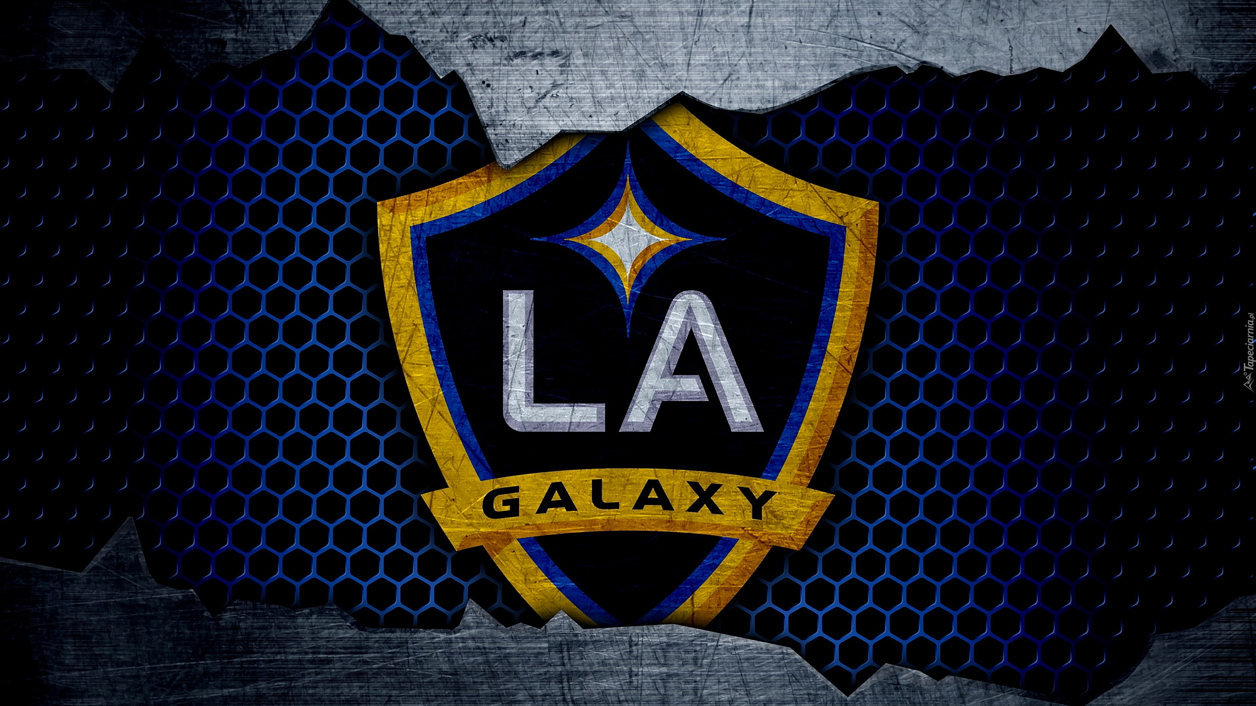 Logo, Klub piłkarski, Los Angeles Galaxy