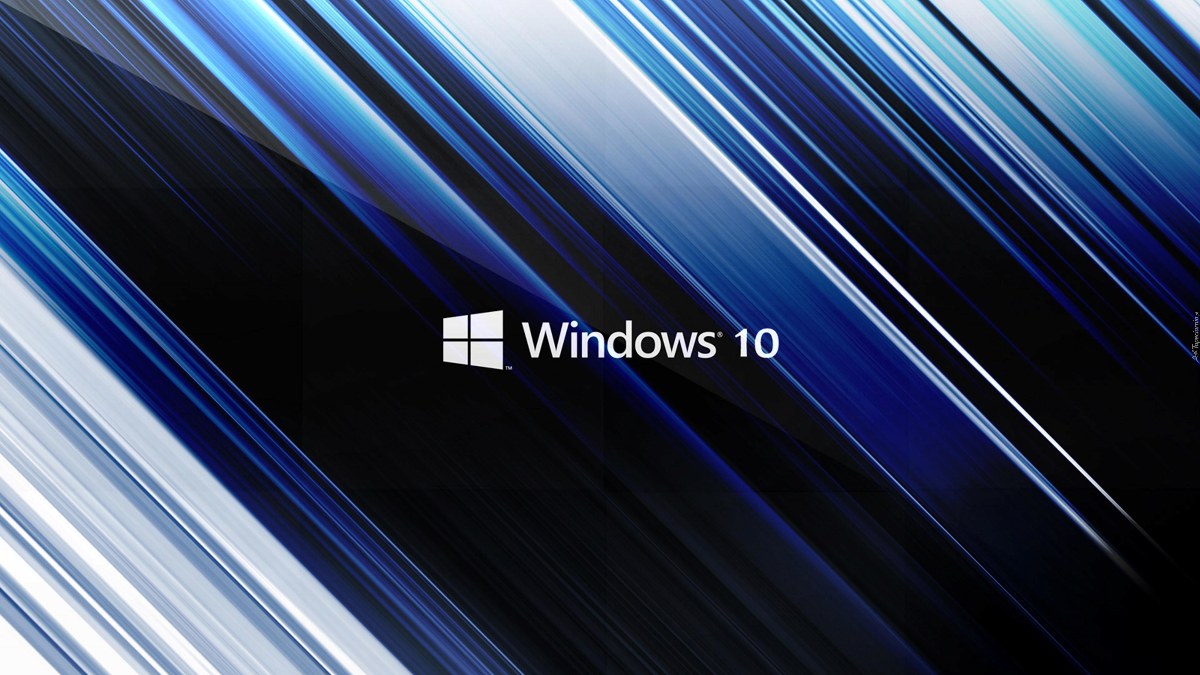 Windows 10, Pasy